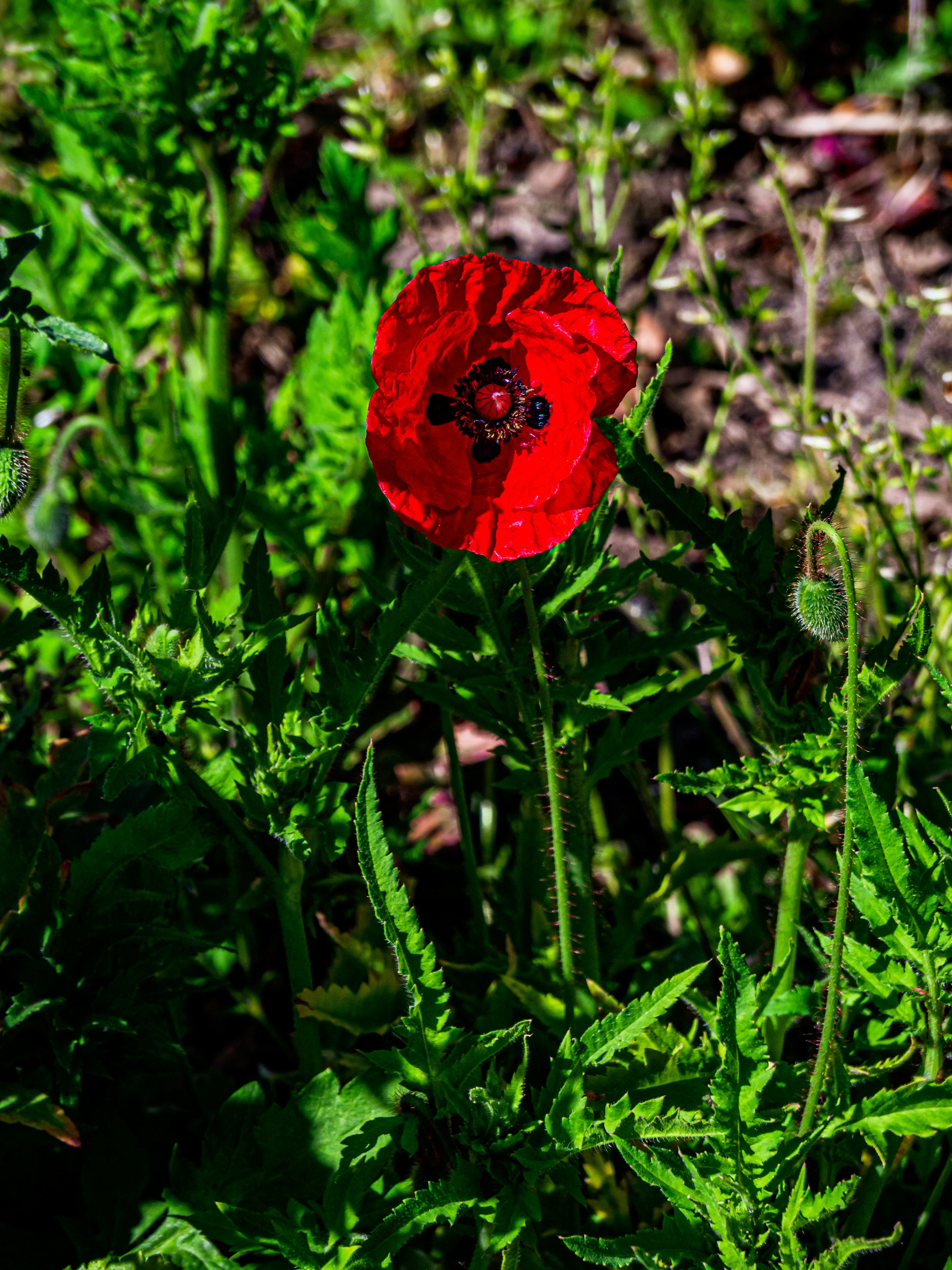 Photo by skstrannik