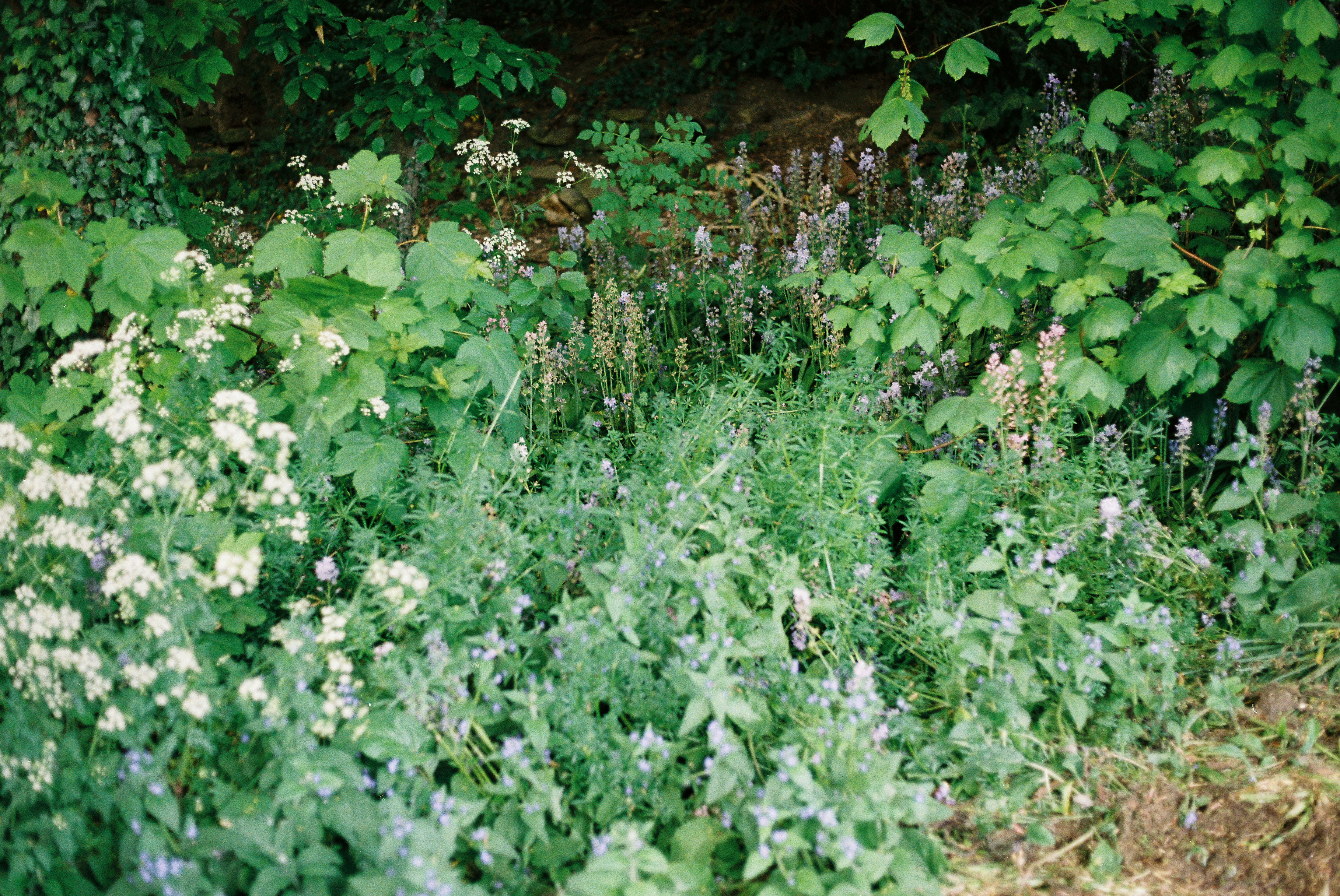 Photo by tanyabarrow