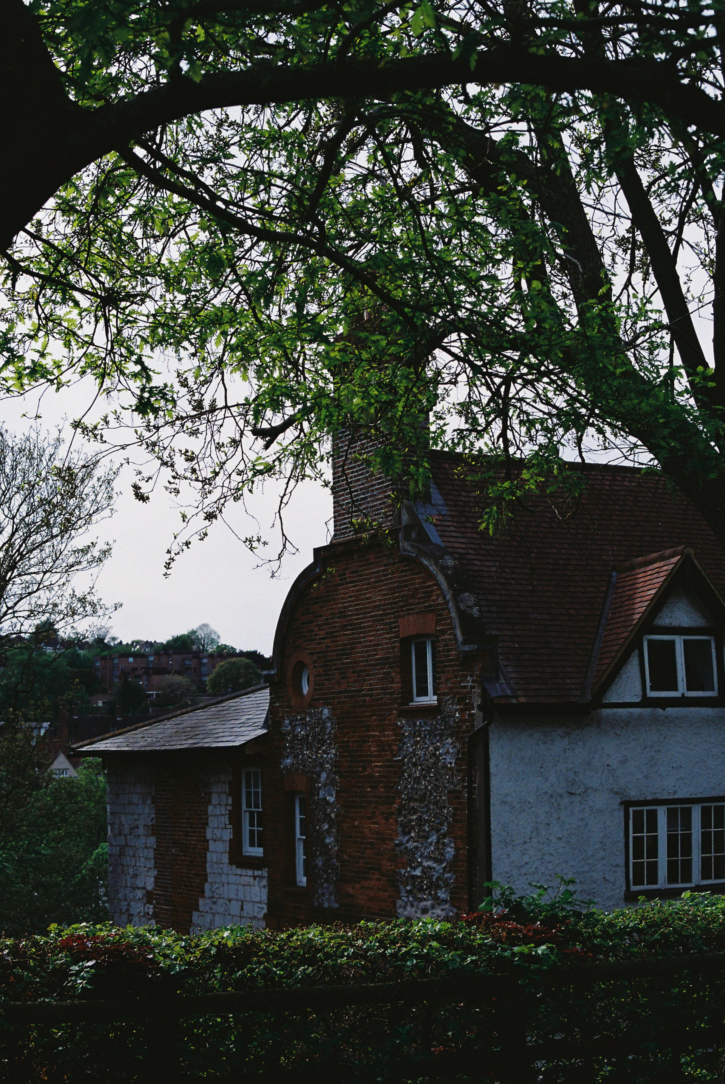 Photo by tanyabarrow