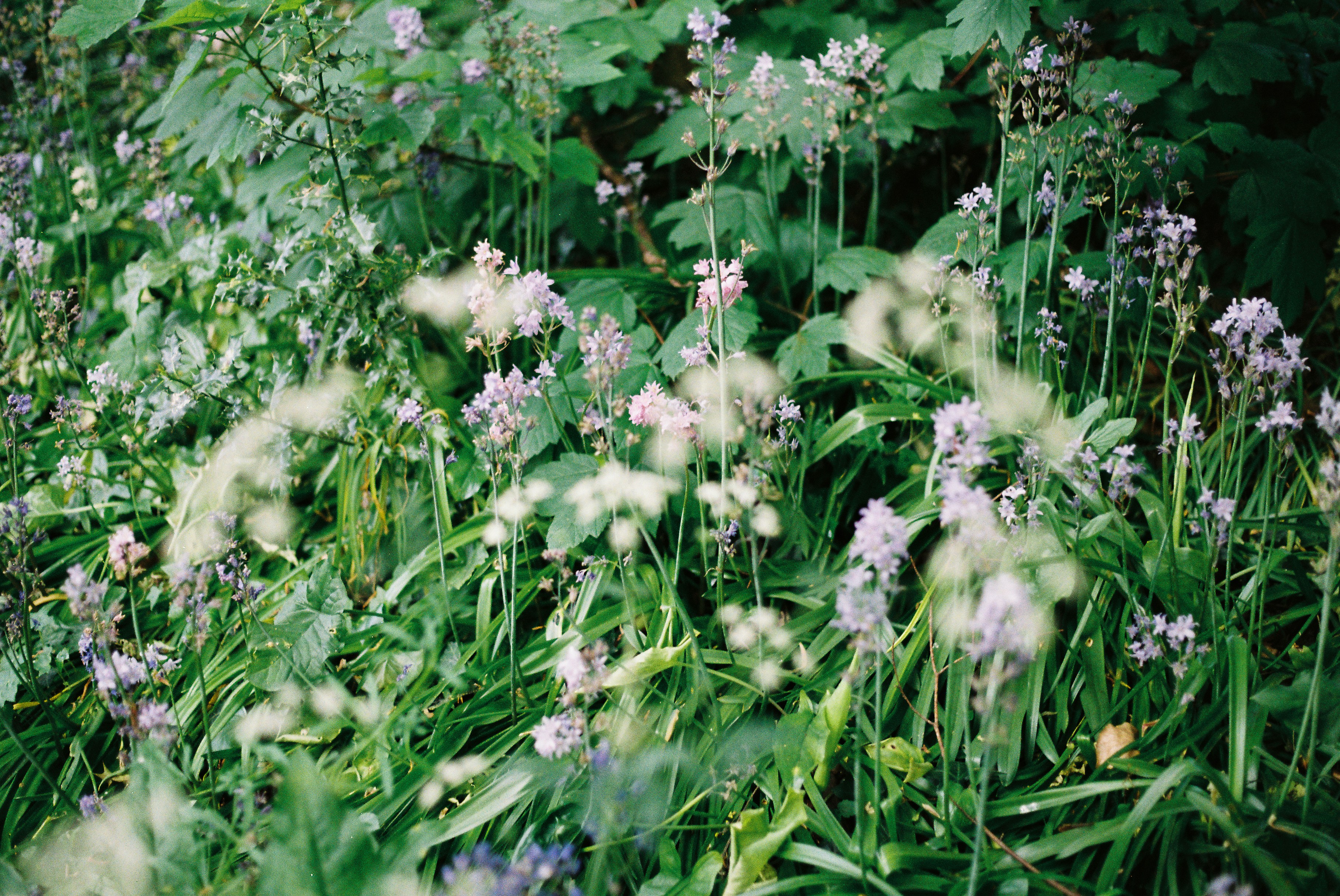 Photo by tanyabarrow