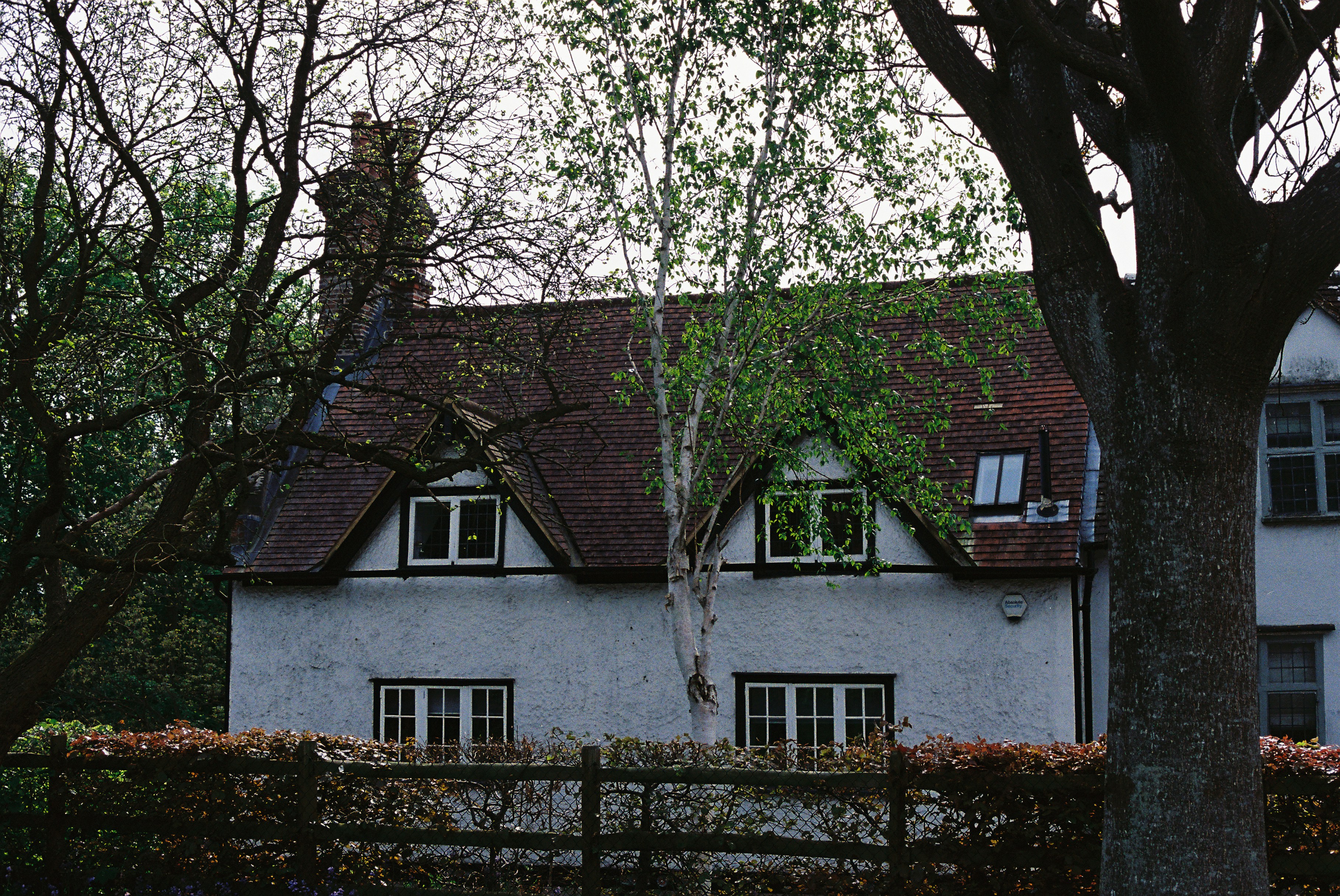 Photo by tanyabarrow