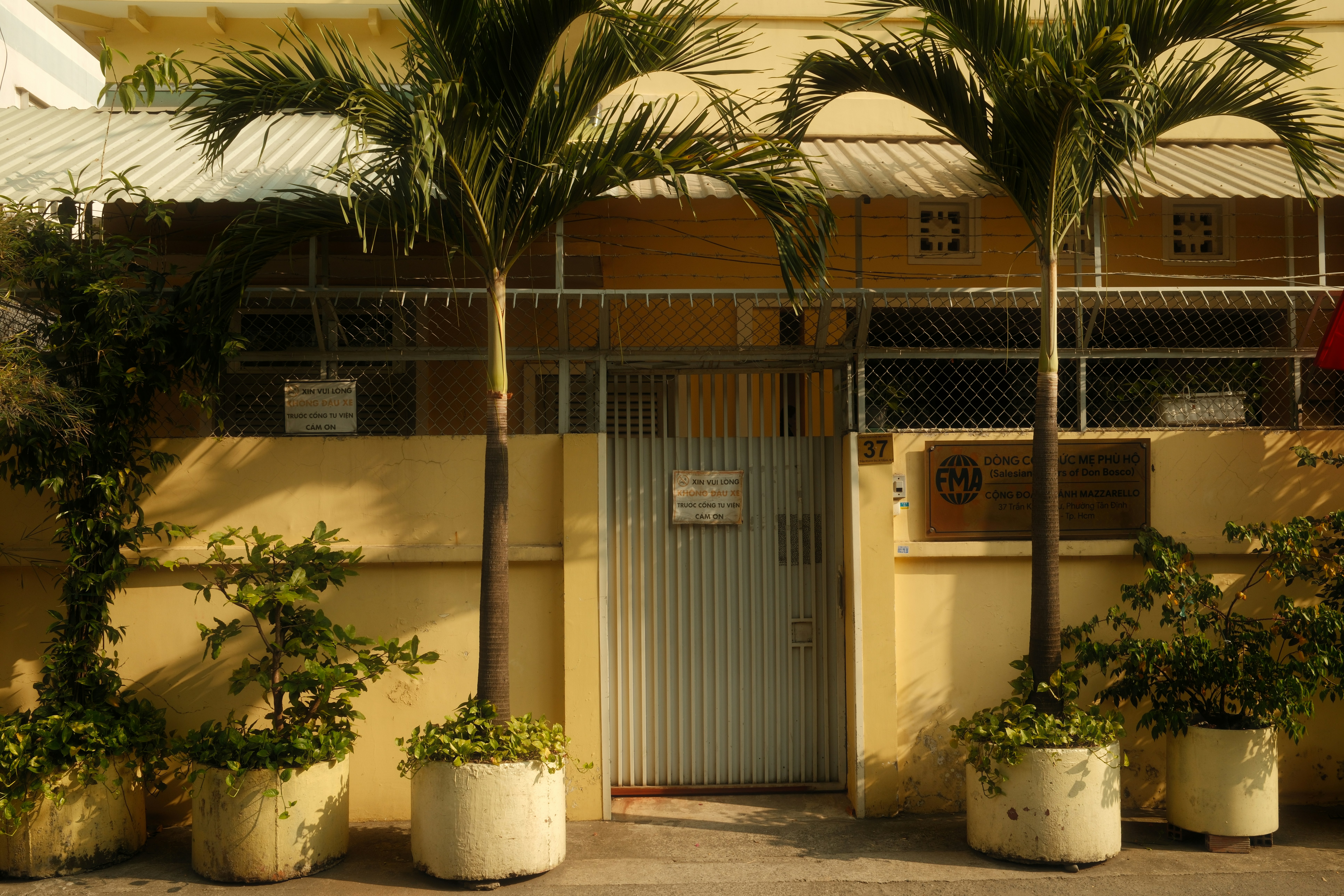 Due palme davanti al cancello d'ingresso di un edificio