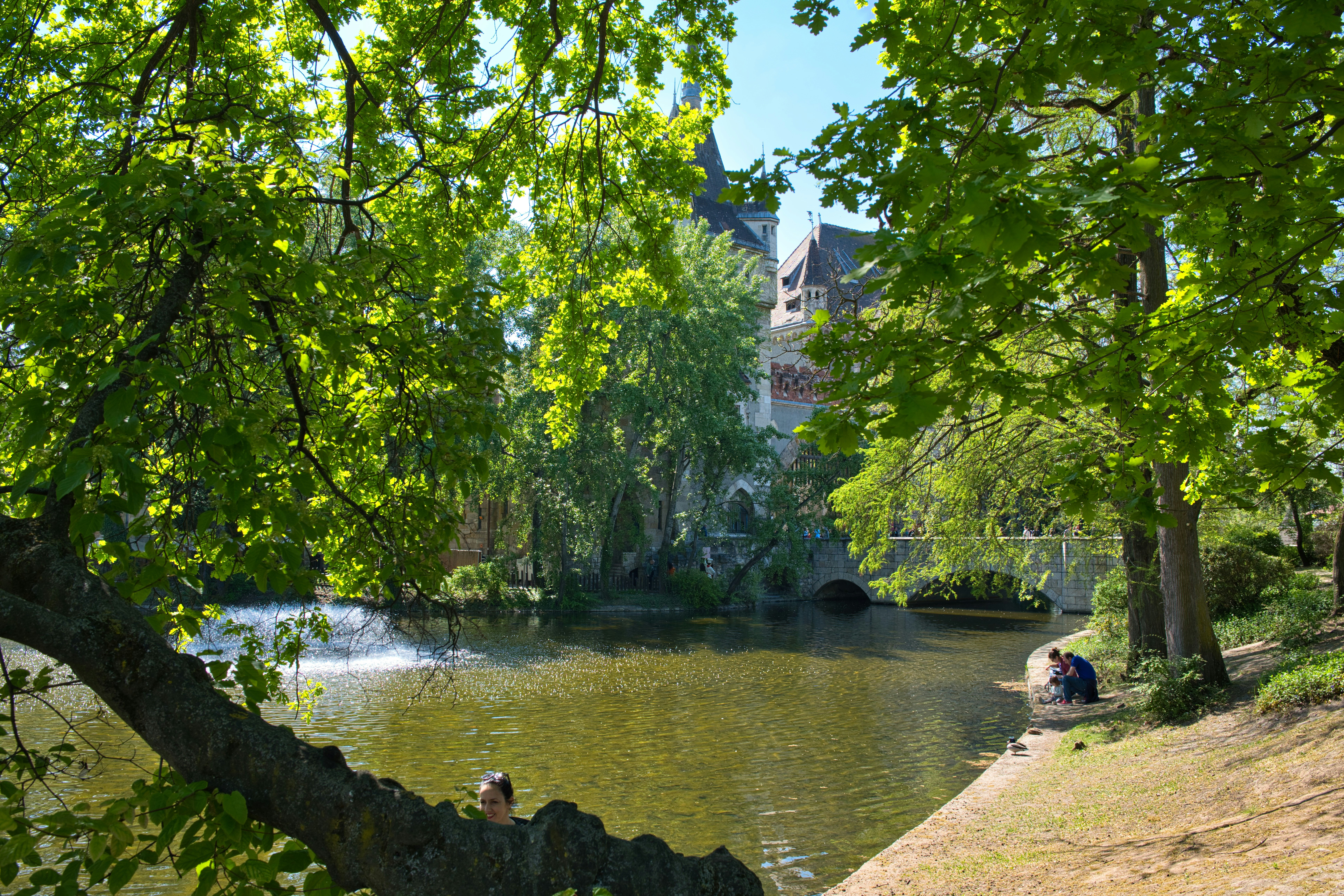 池と木々のある穏やかな公園の風景