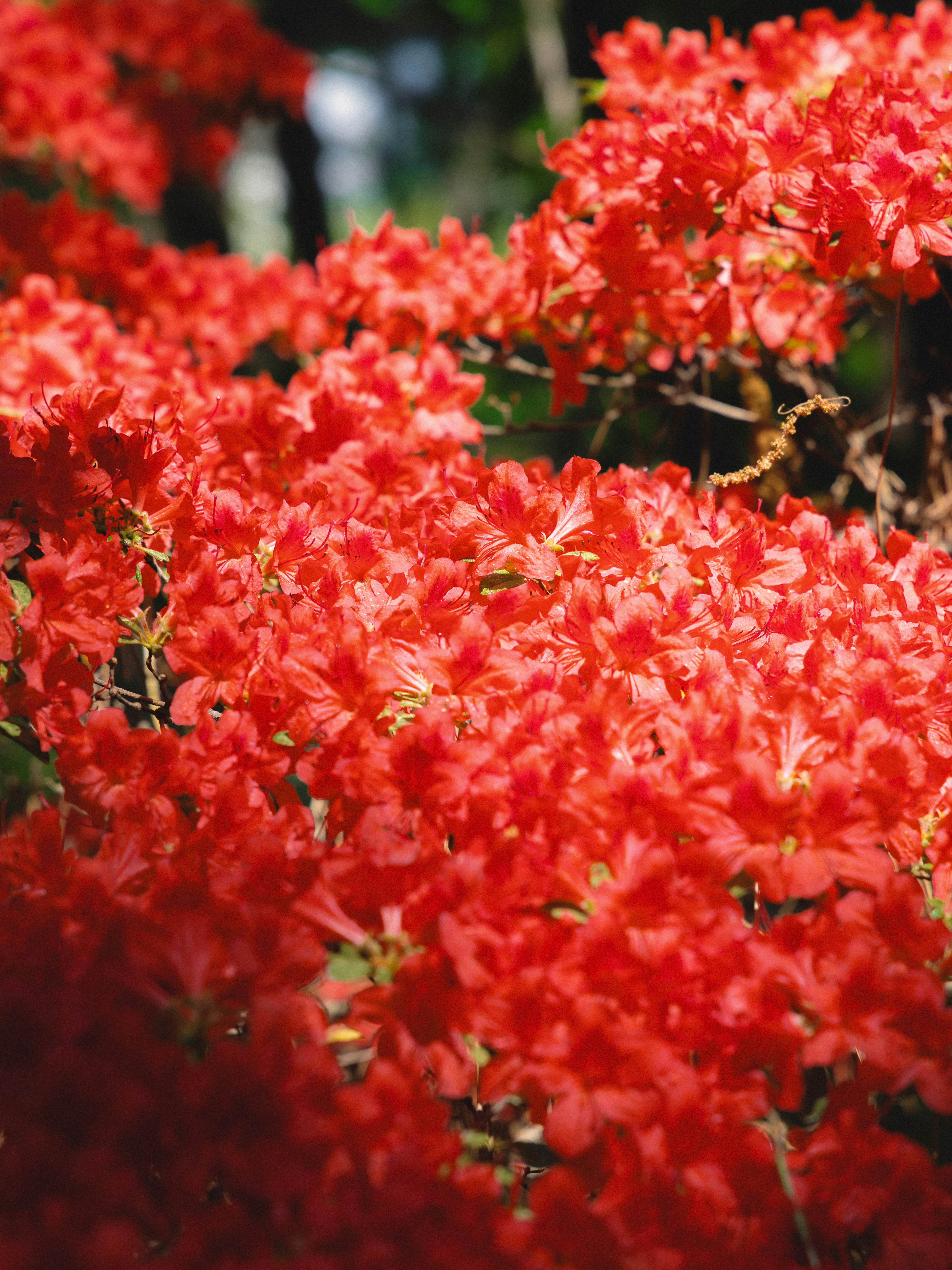 Photo by parkseongjin