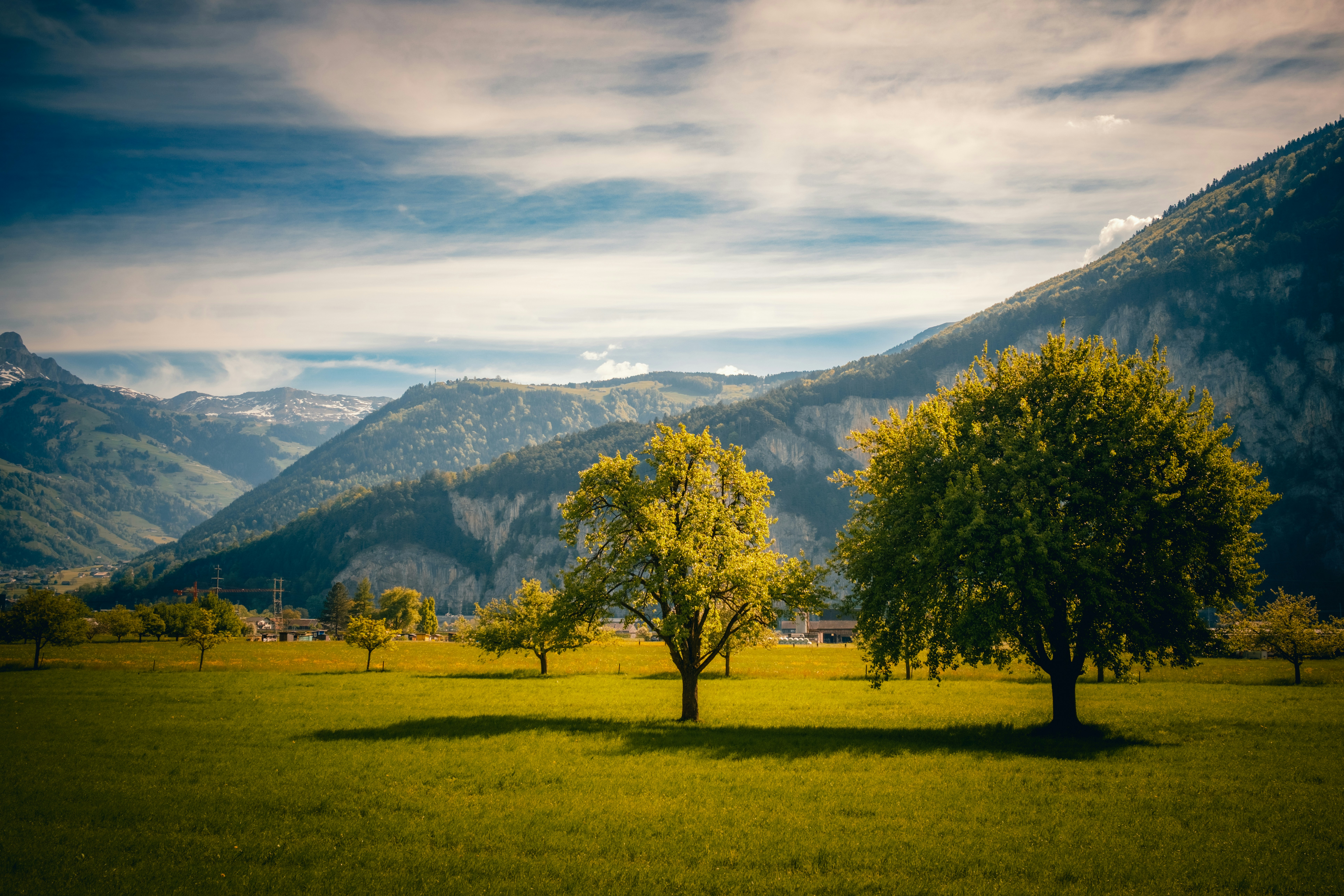 Lush green field with trees and mountains under sky