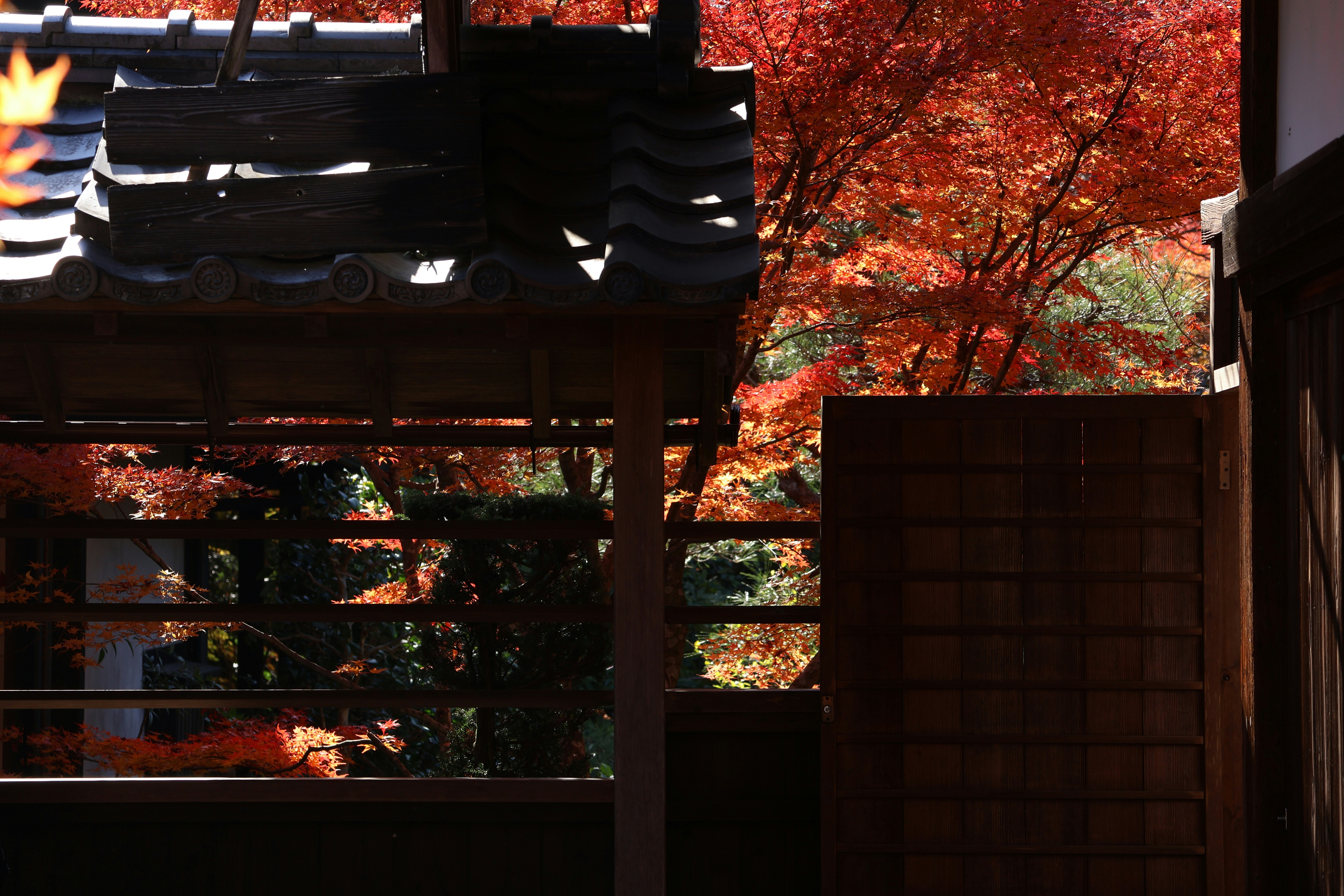 Photo by alamanga