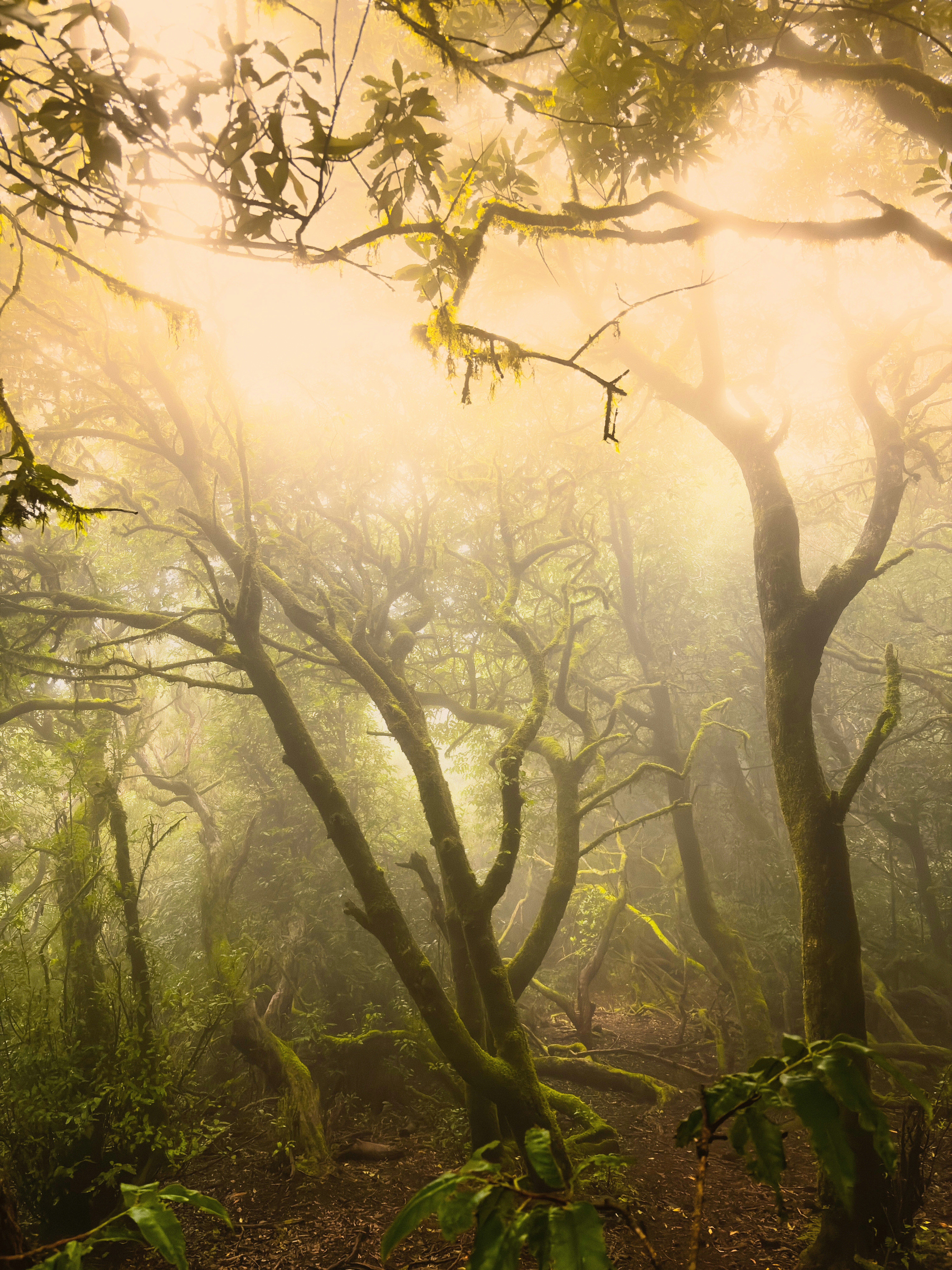 Photo by photographyhues