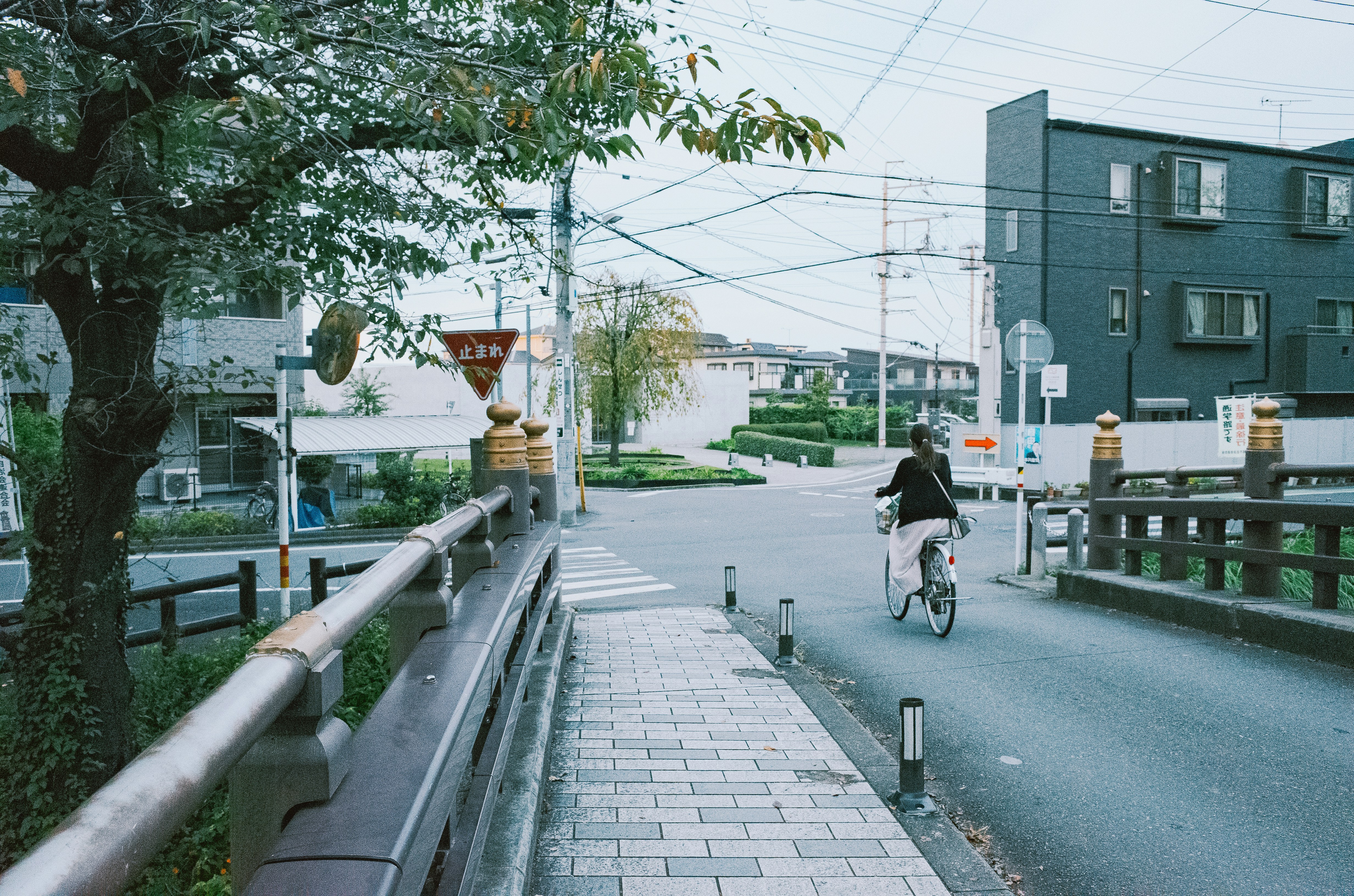 Person rides bicycle on a quiet street.