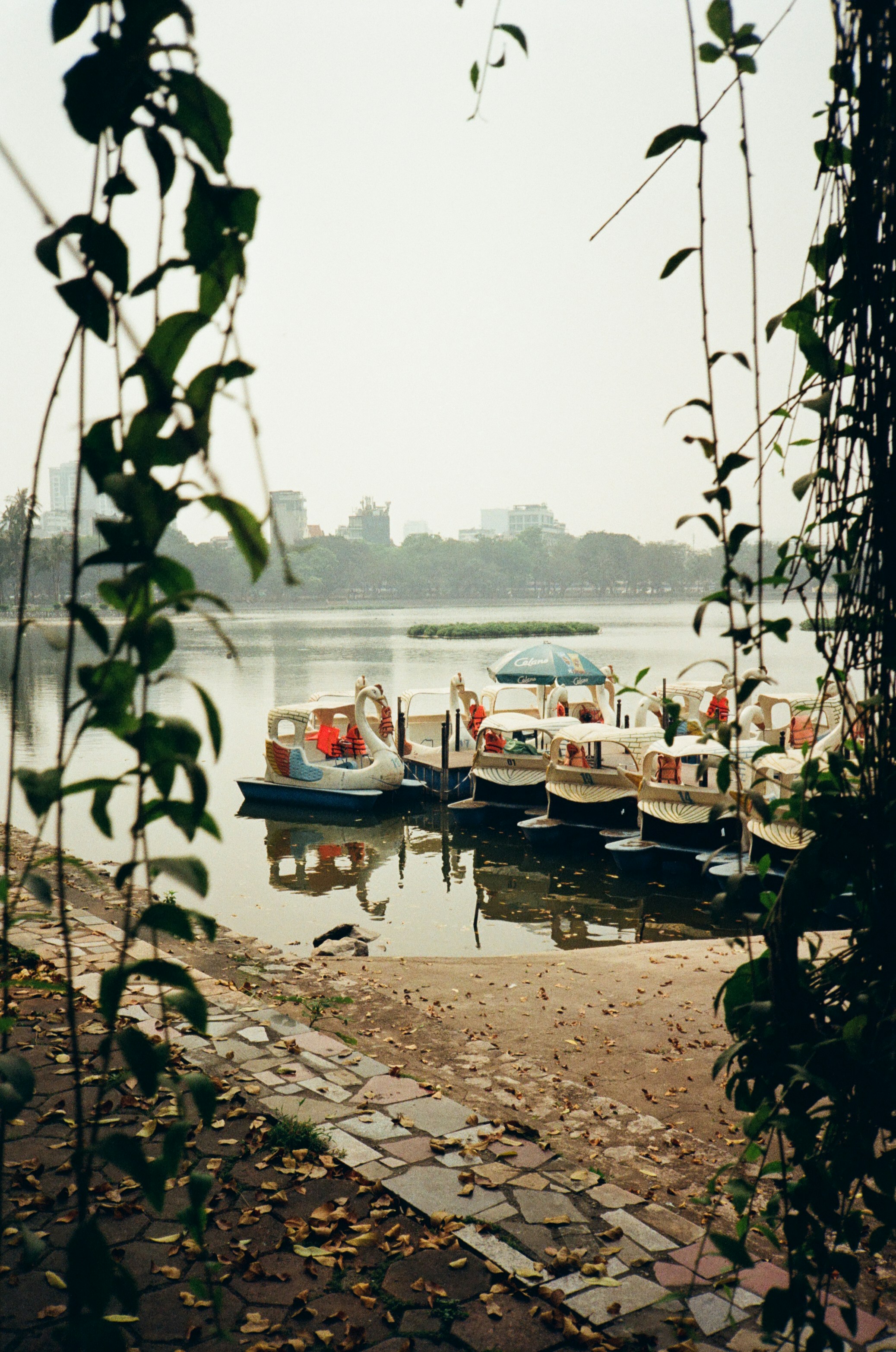 Green parkland and lake in Hanoi