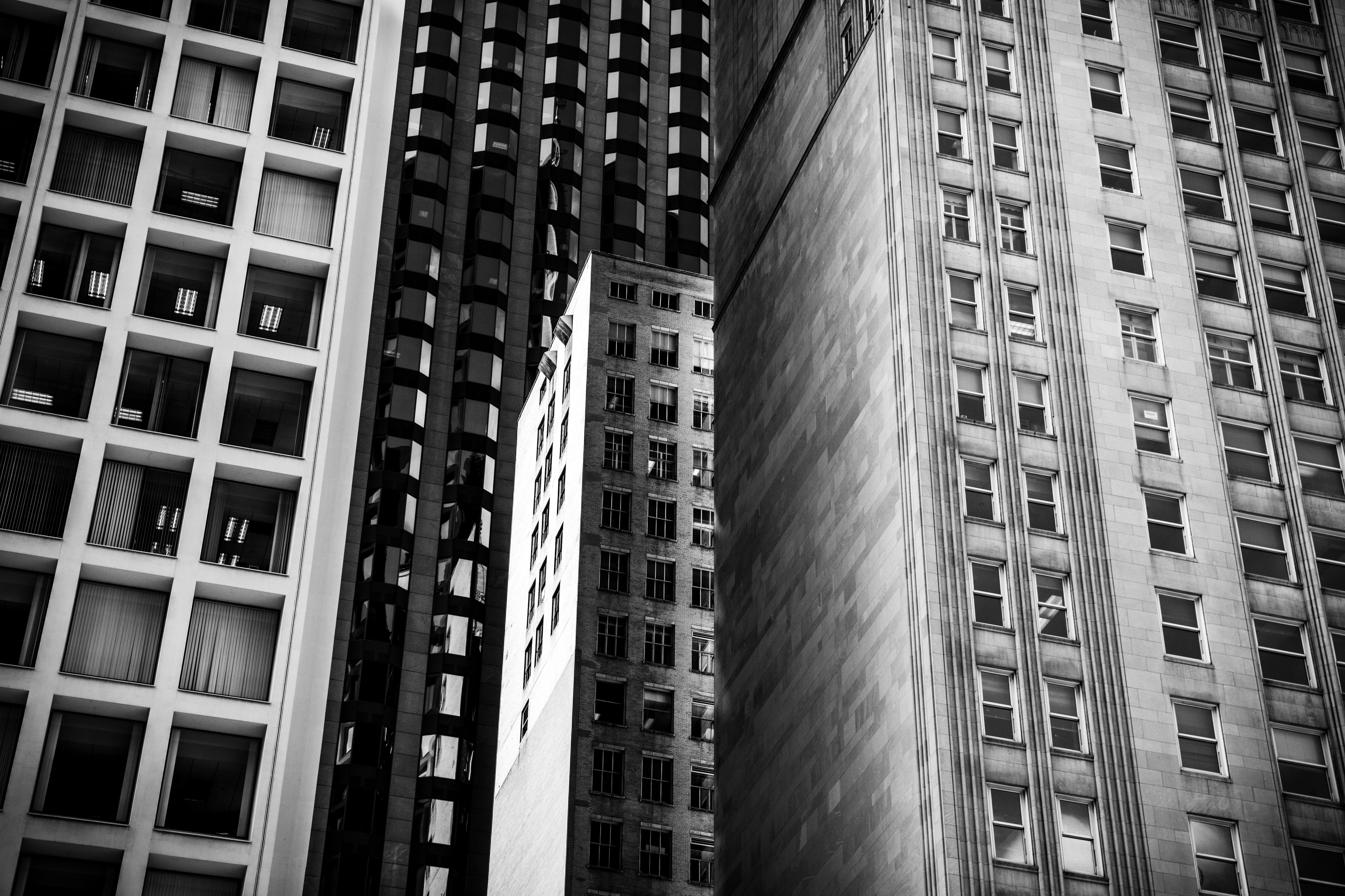 Tall buildings with many windows in a city