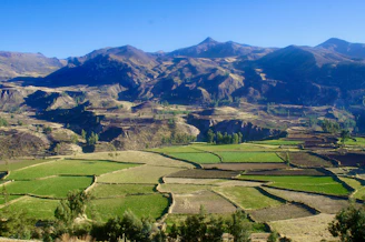Terraced fields in a mountainous landscape under a clear sky