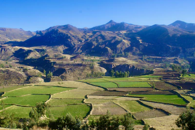 Terraced fields in a mountainous landscape under a clear sky