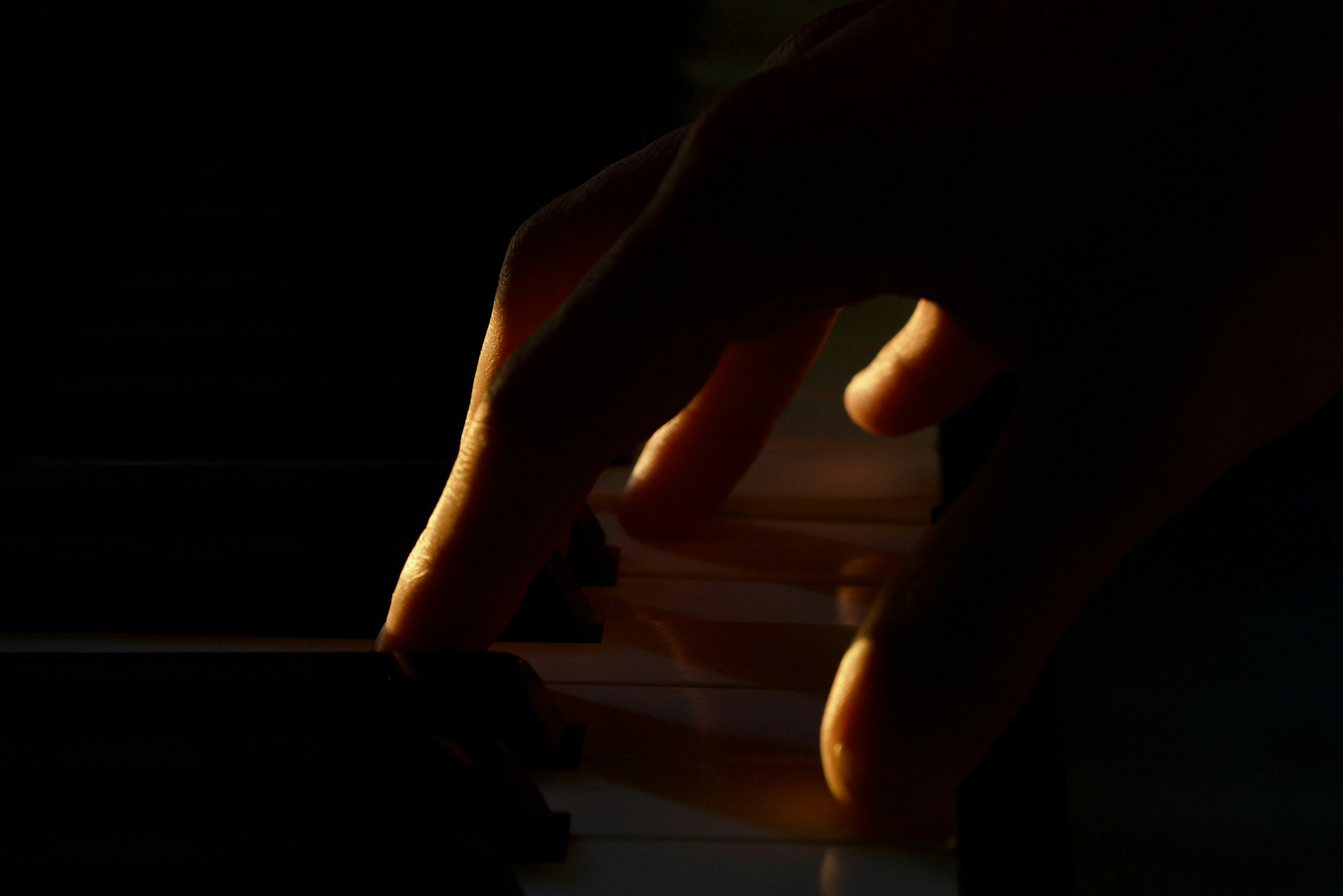 Photo by garvitnama