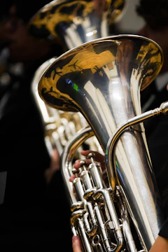 Musicians playing brass instruments in a band