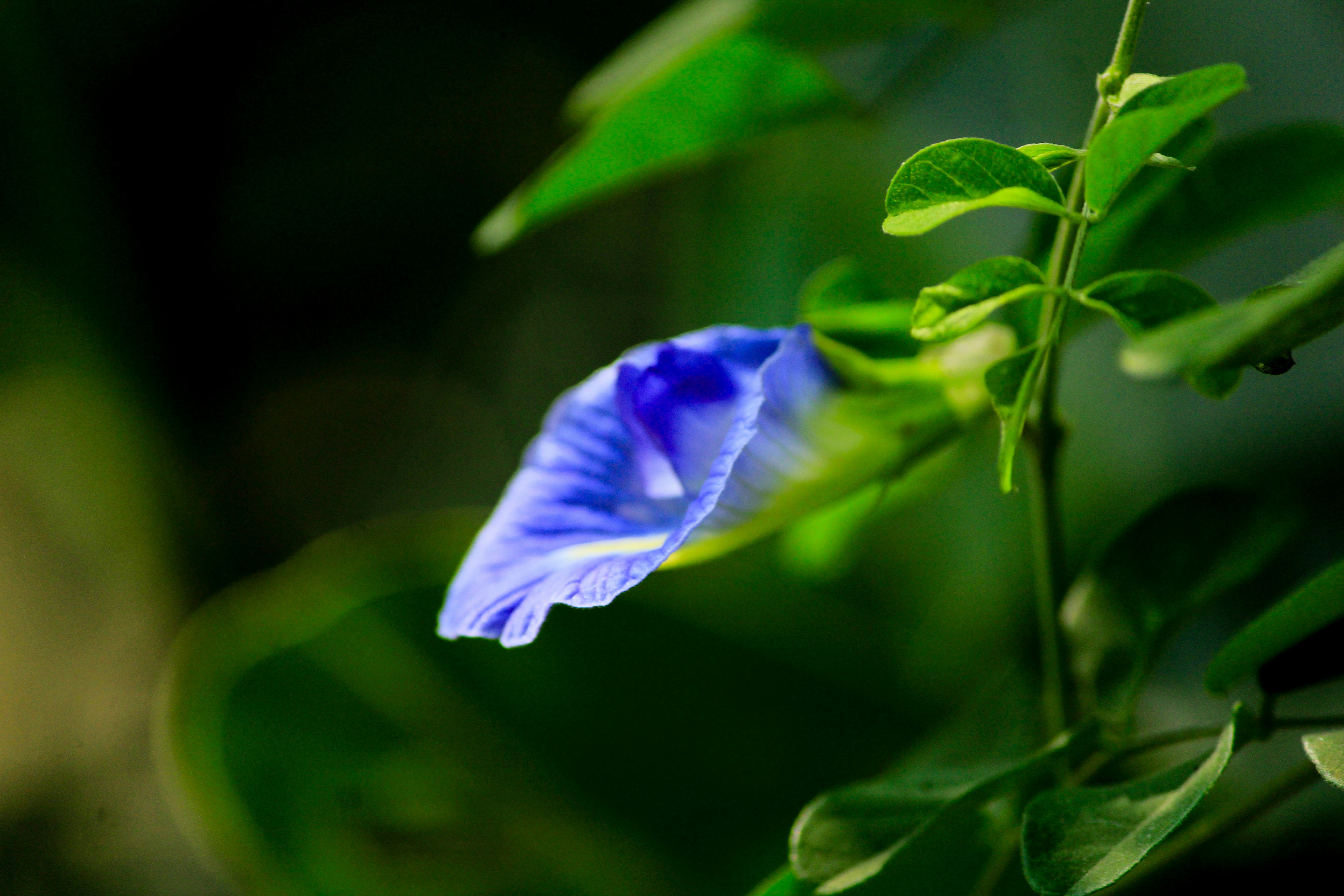Photo by nsnclicks