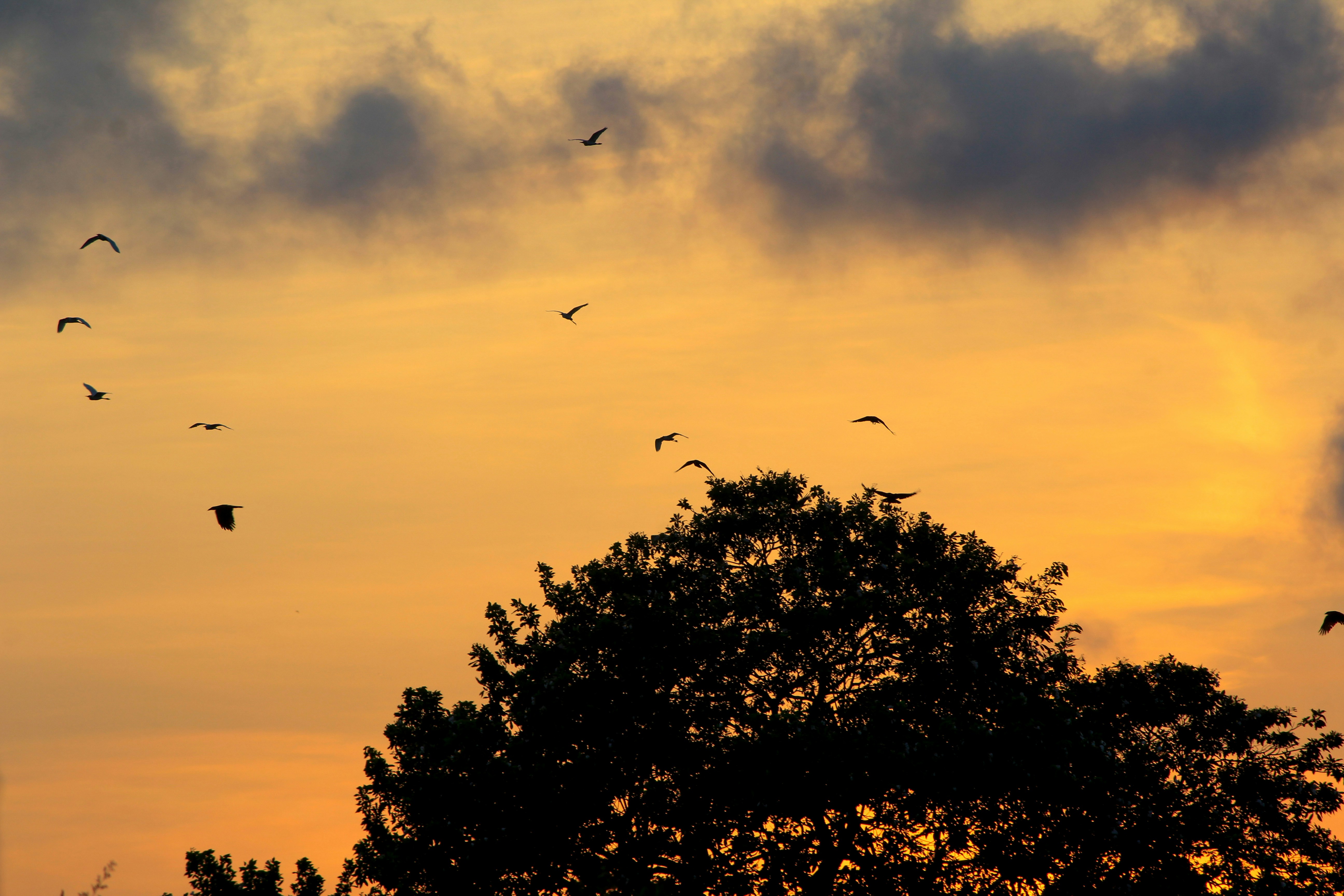 Photo by nsnclicks