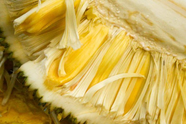 Close-up of golden cempedek fruit flesh with sweet yellow segments