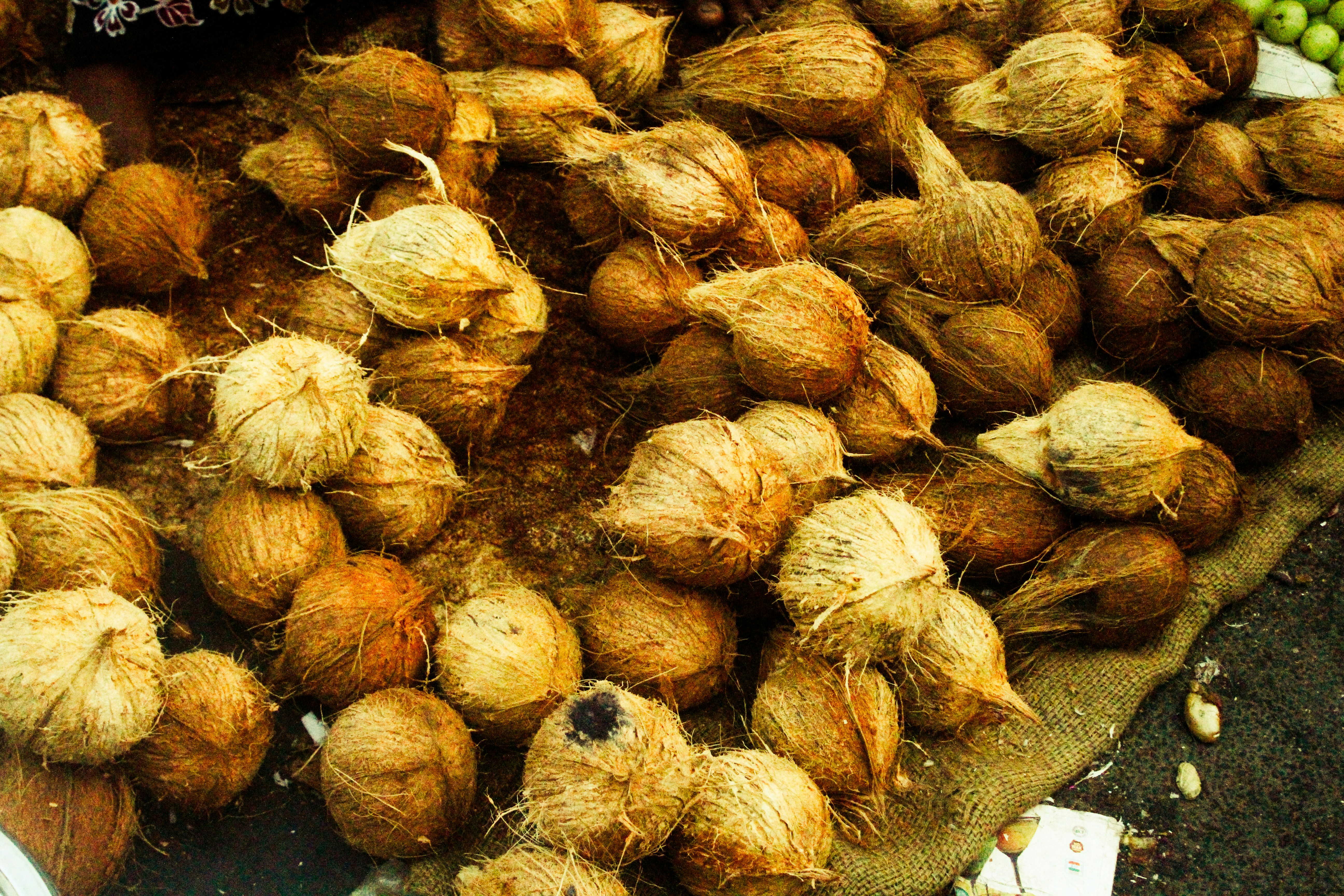 A pile of brown coconuts with husks