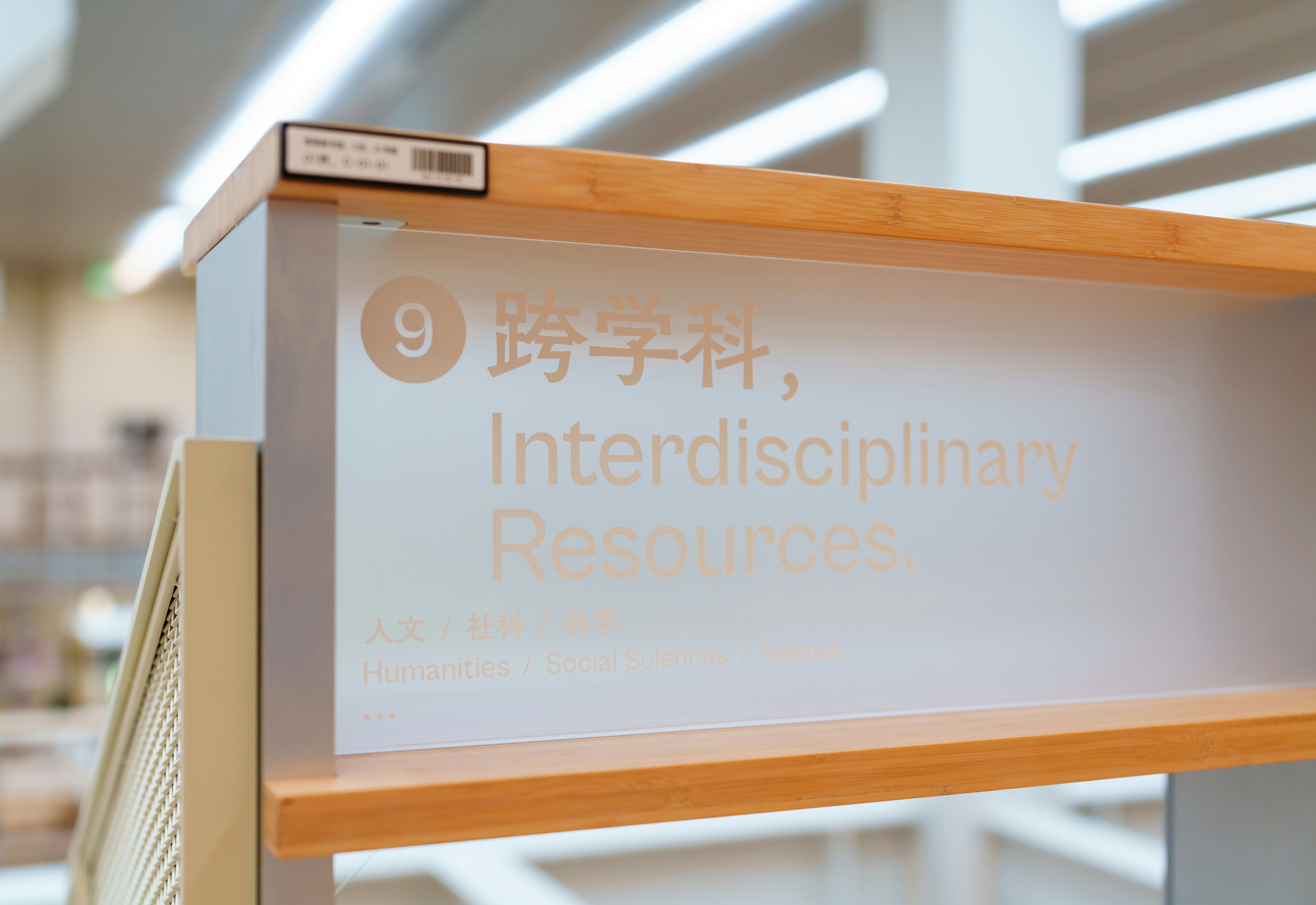 interdisciplinary studies