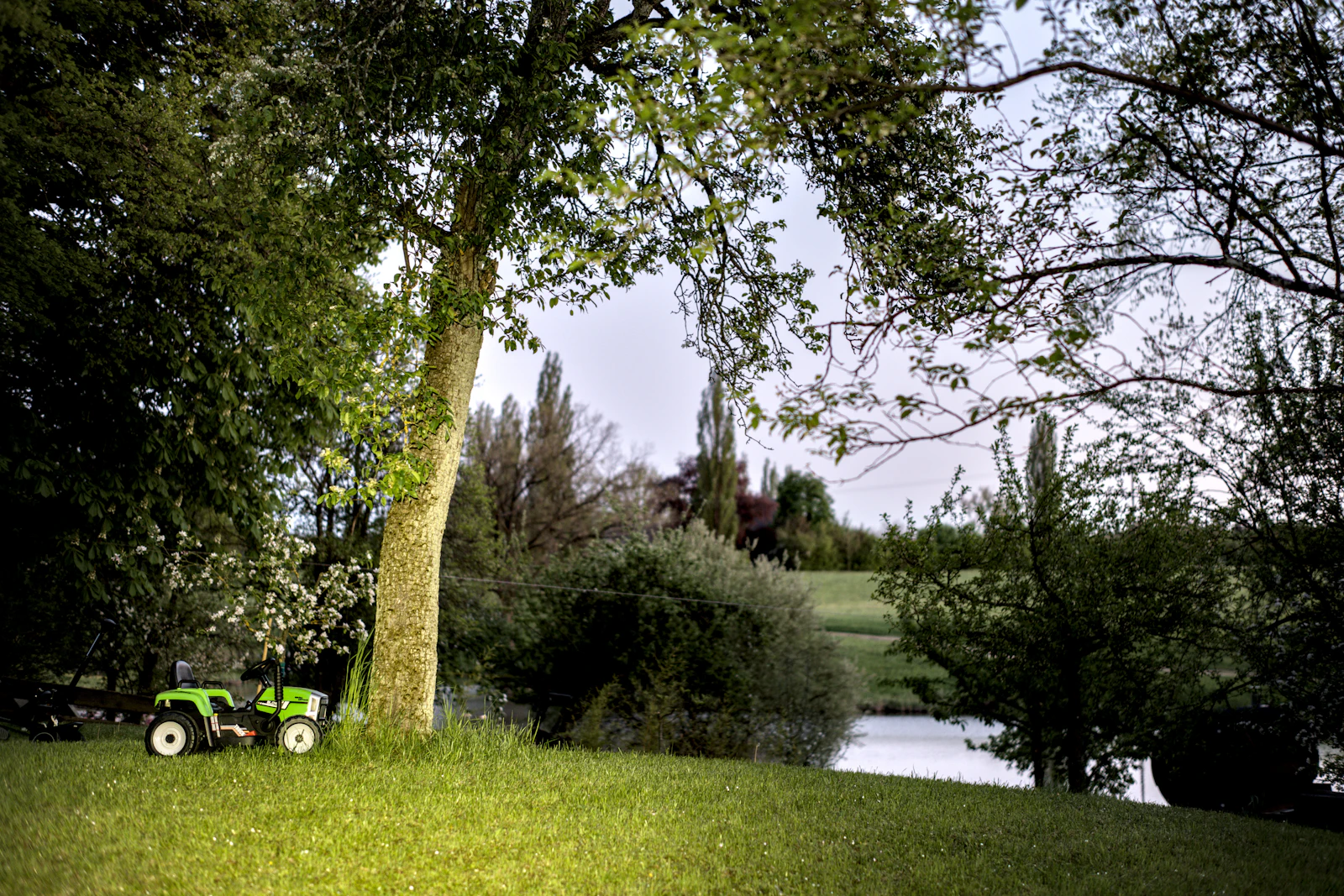 A tractor mowing rough grass near a tree line