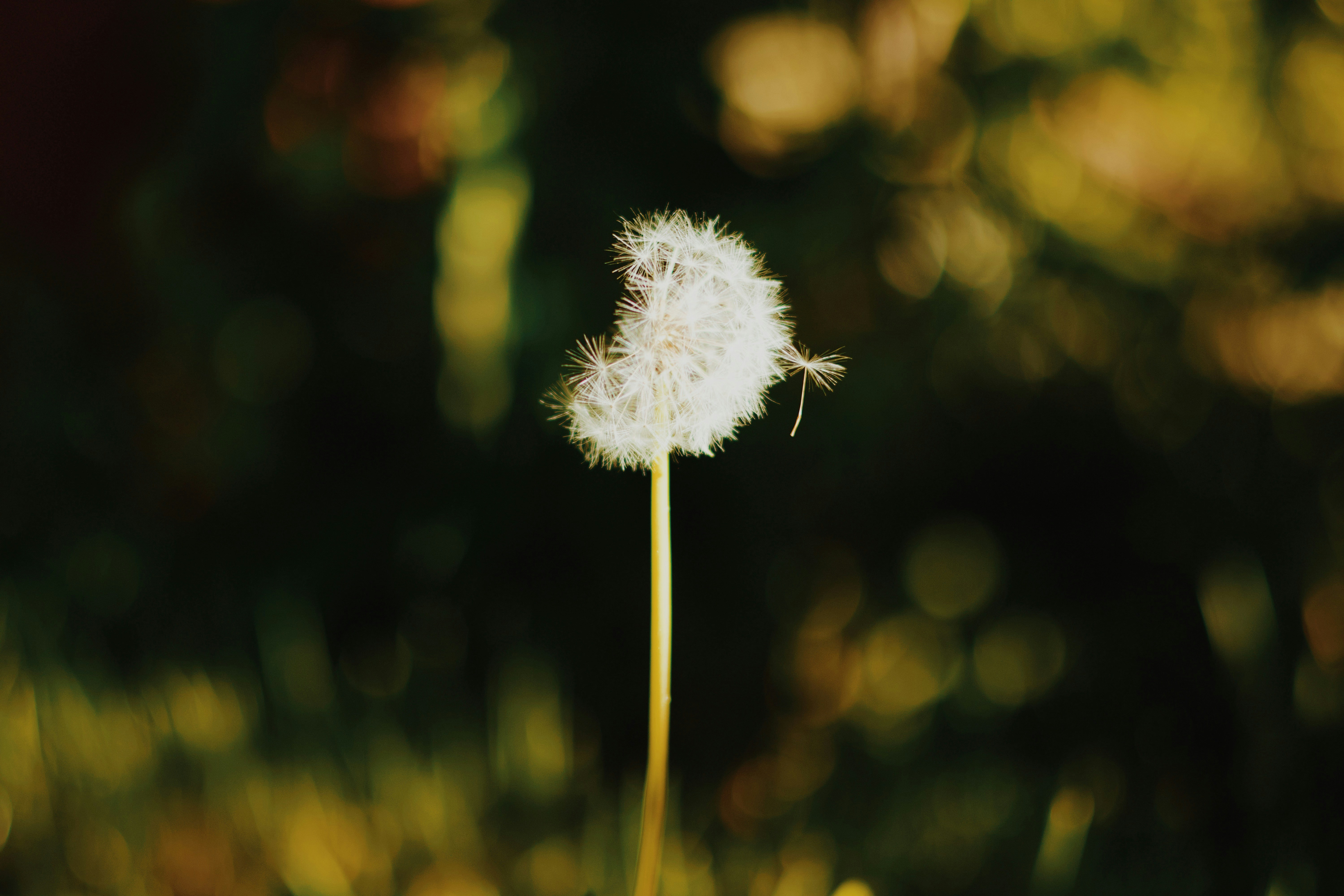 Photo by katerinatomislav