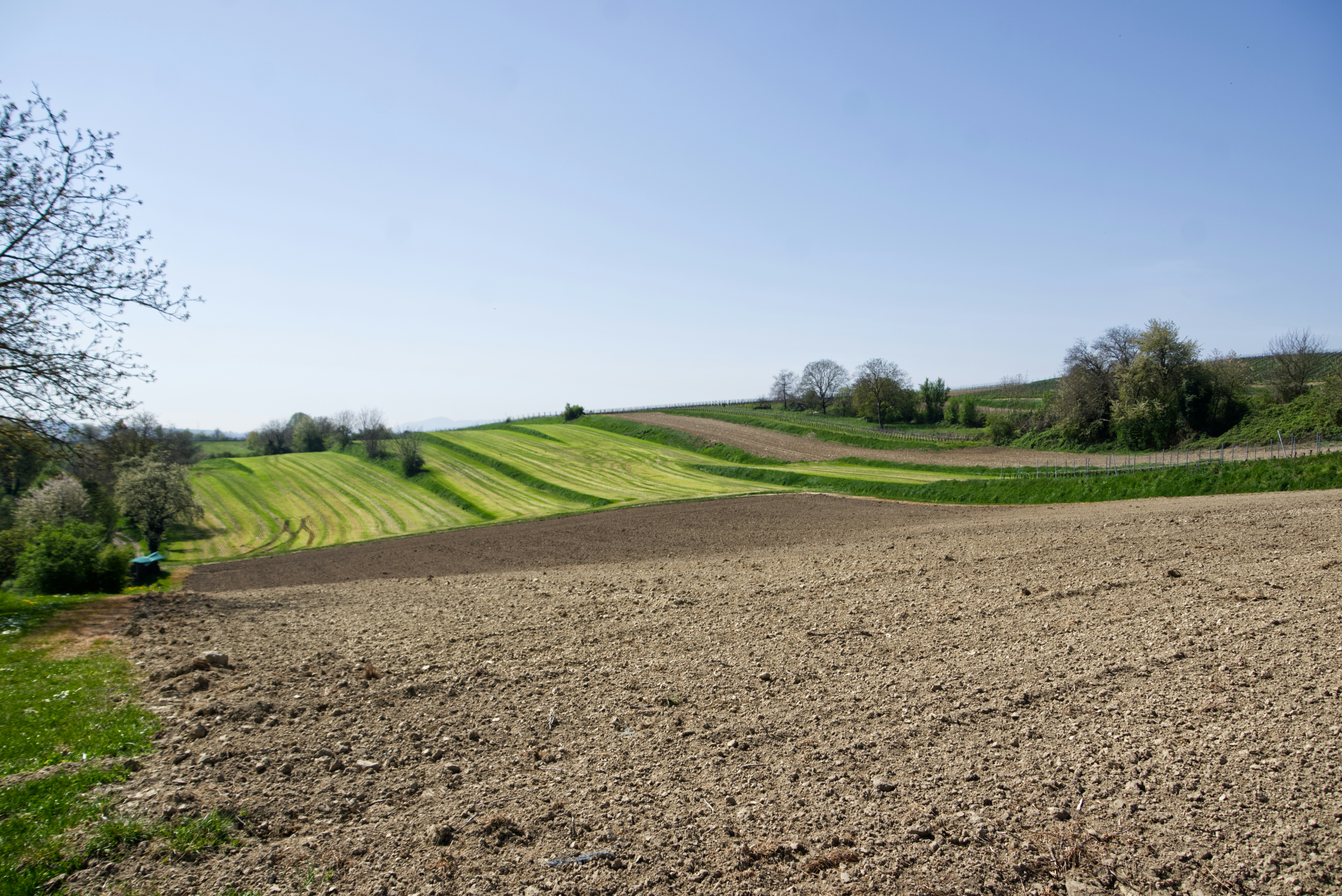 Sanfte grüne Hügel und braune Felder unter klarem Himmel