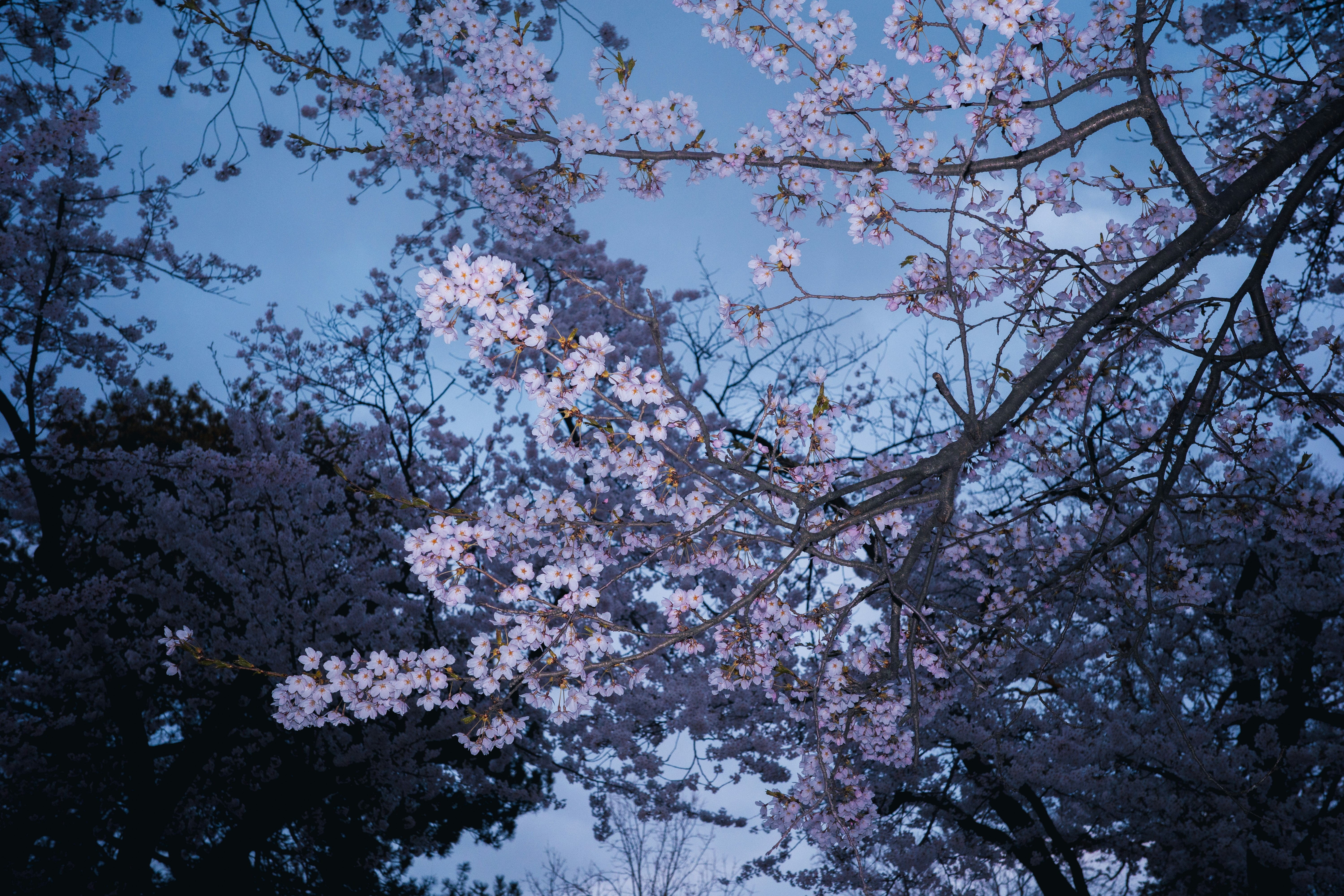 Photo by findway_jerry