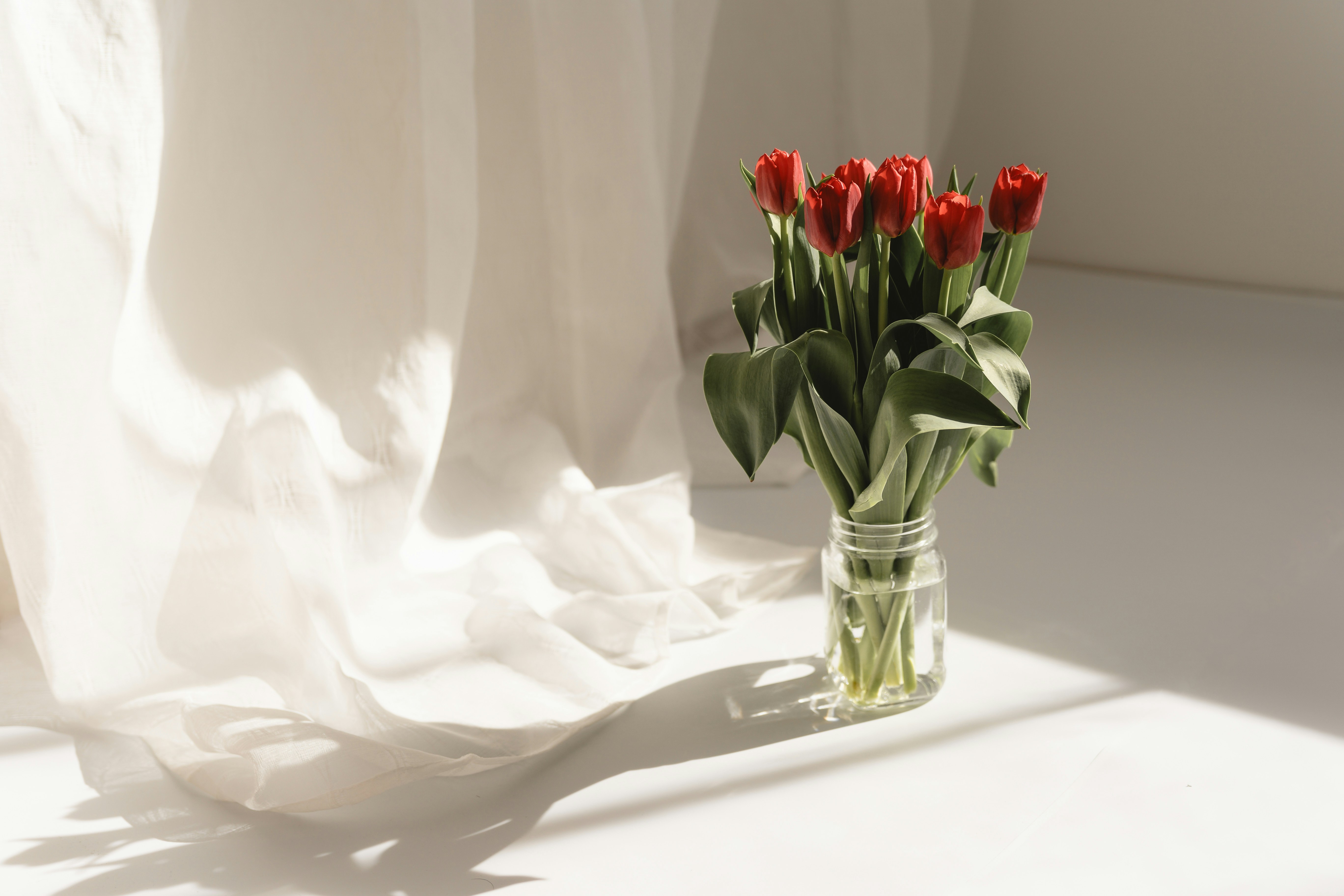 A bouquet of red tulips in a glass vase.
