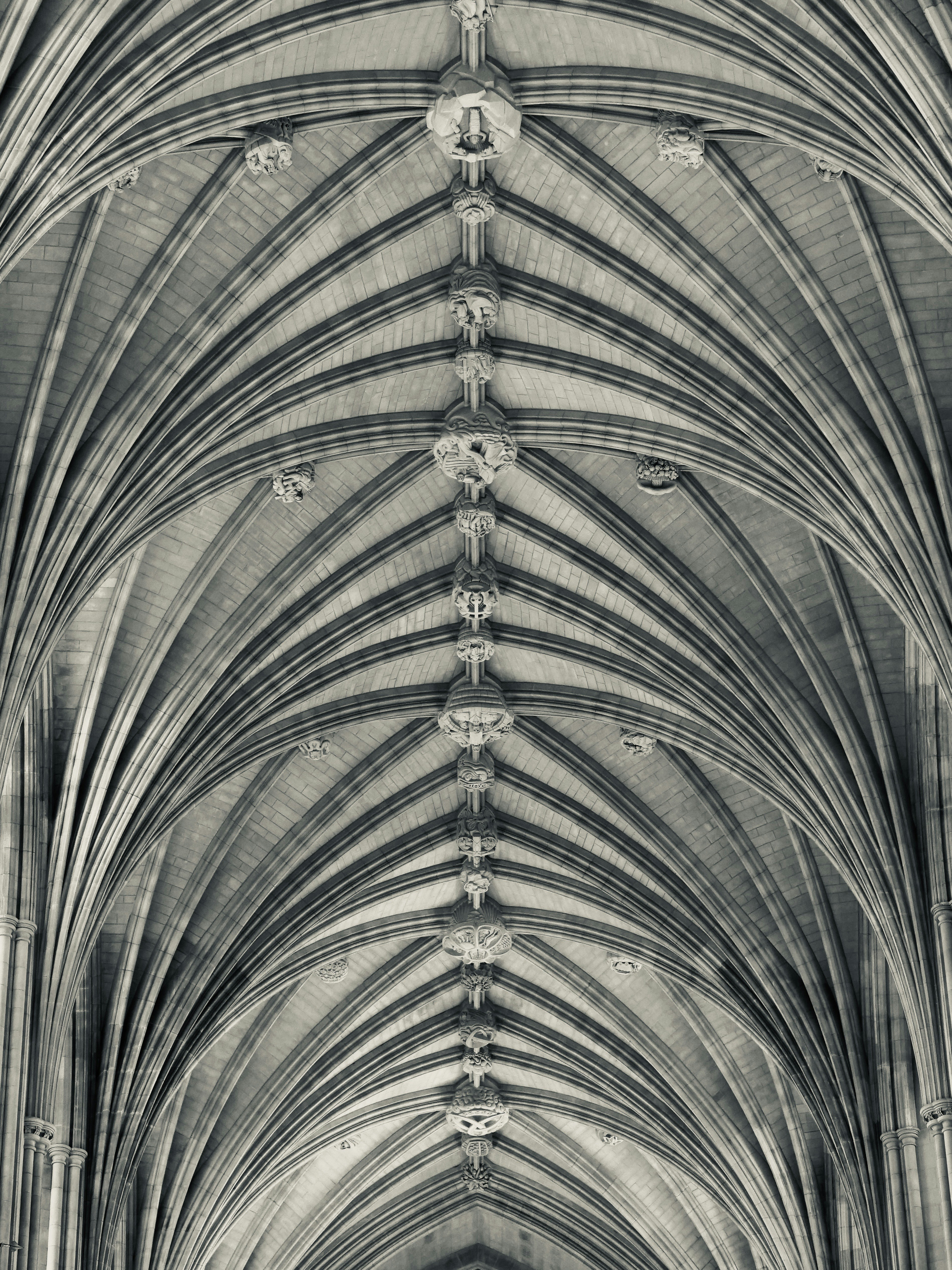 Intricate gothic vaulted ceiling with stone arches.
