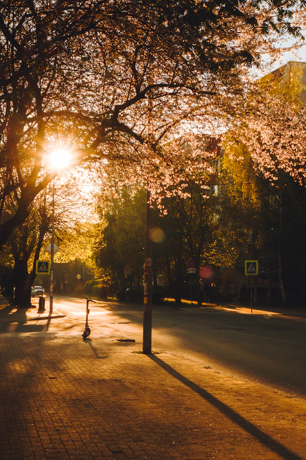 sunlight streams