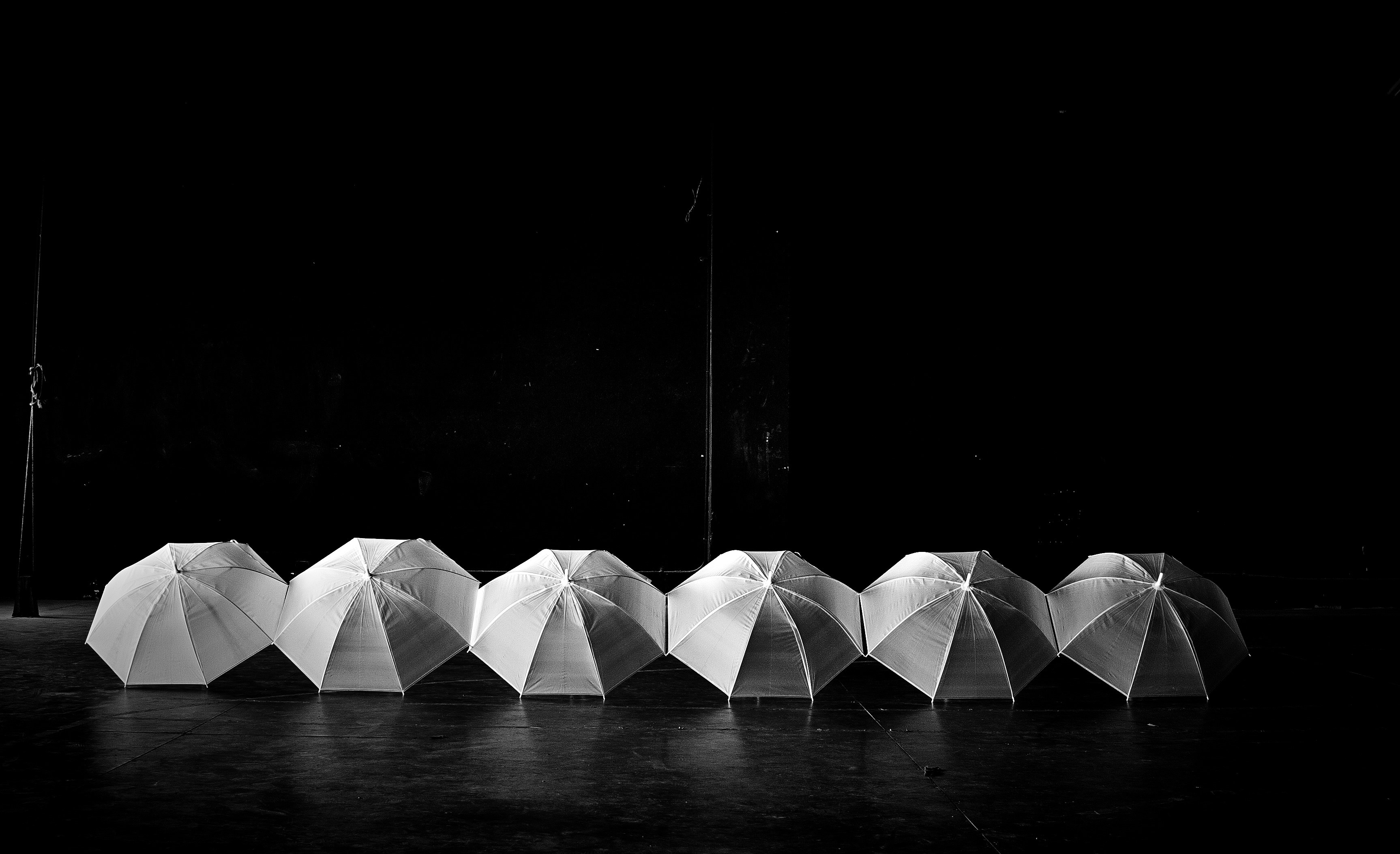 A line of white umbrellas arranged in a wavy pattern.