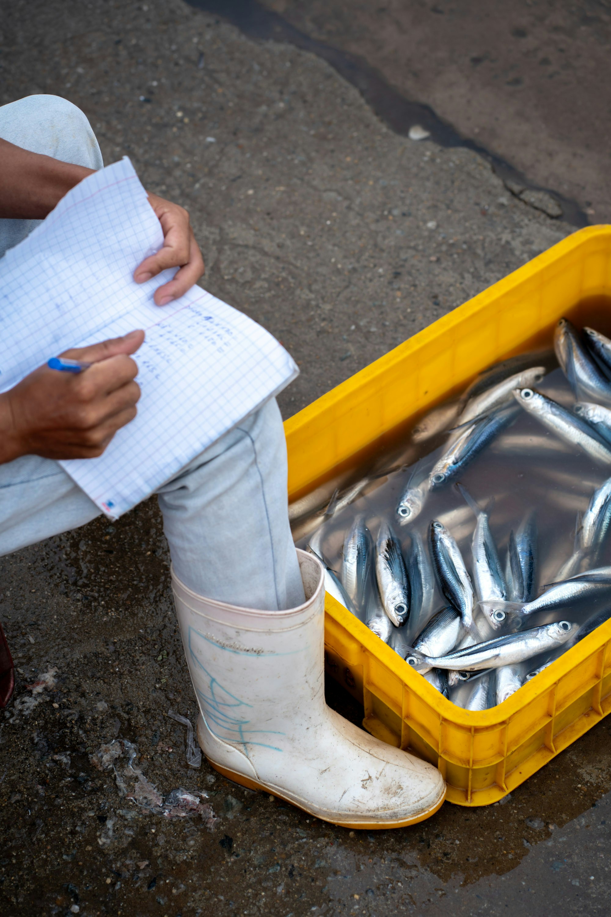 Person in boots writing next to a crate of fish