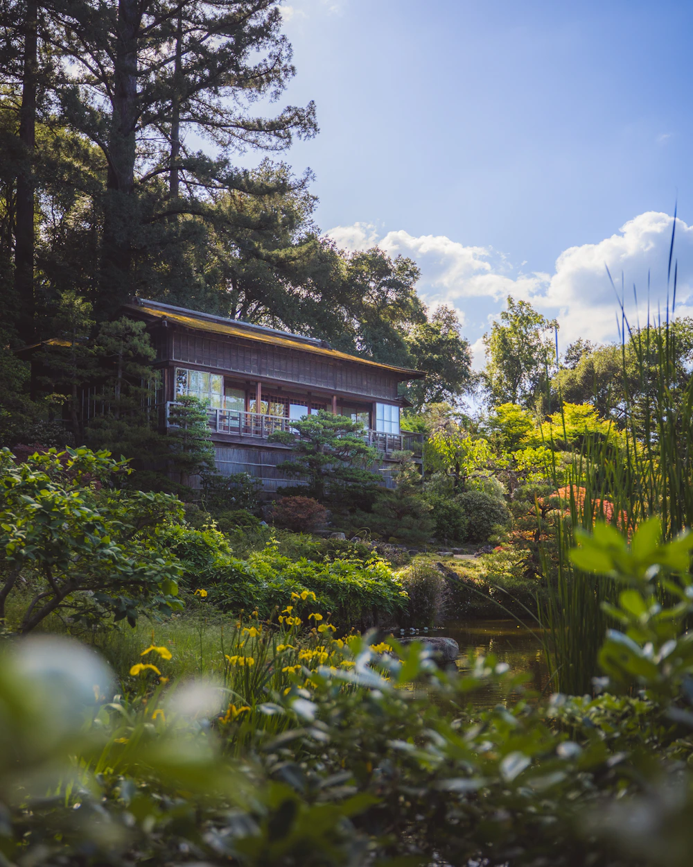 Casa contemporánea asentada dentro de un bosque verde