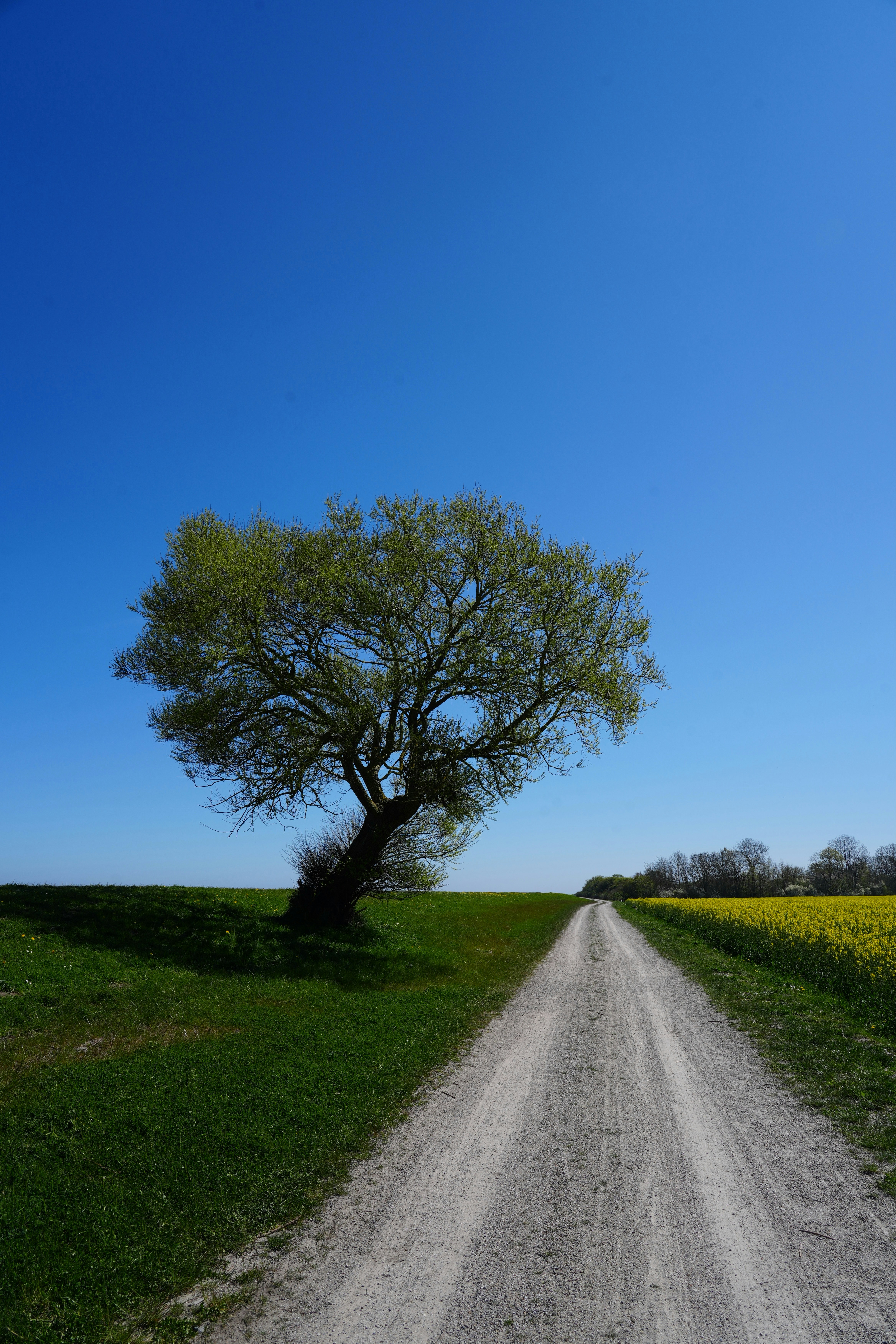 Frieden