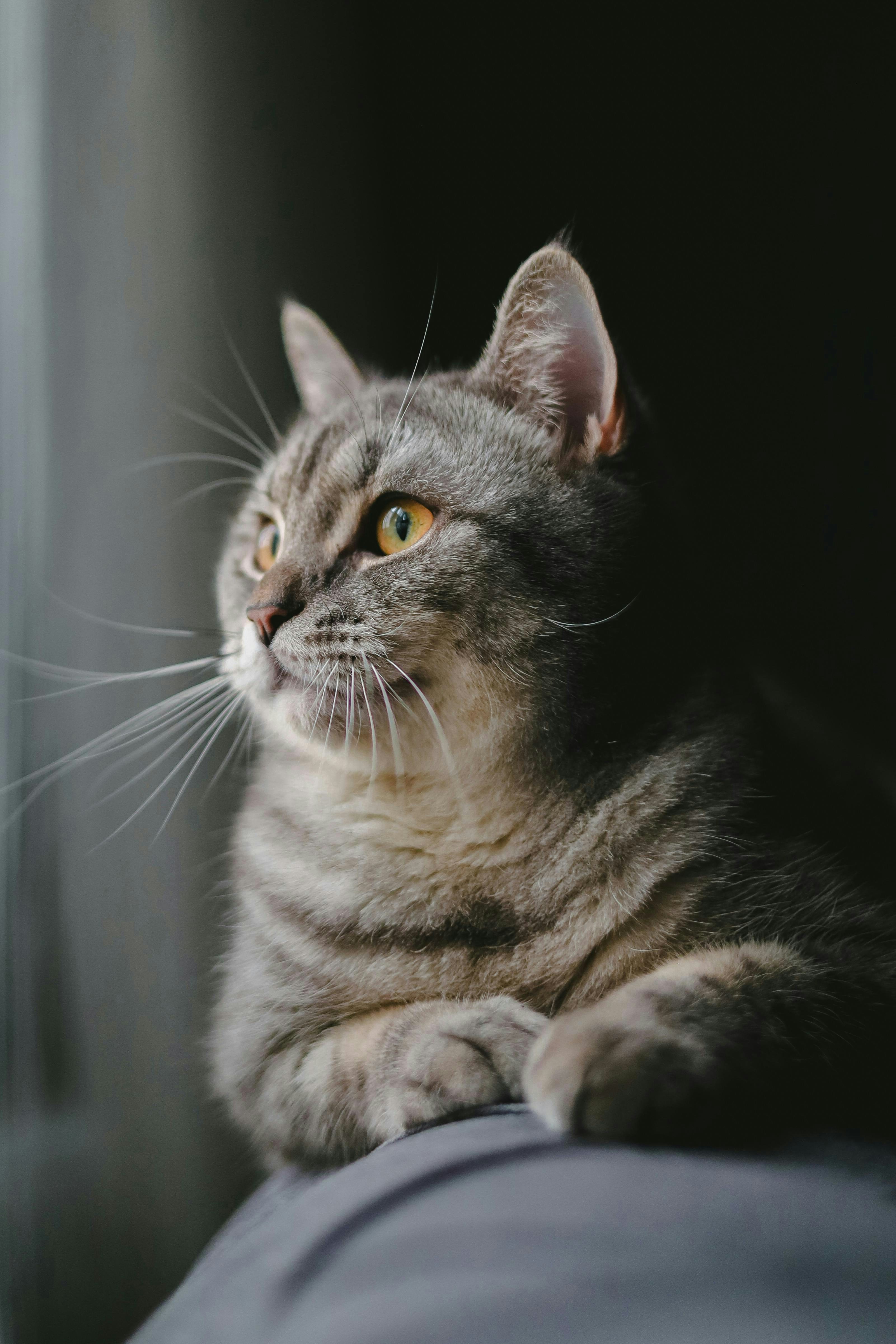 Photo by _fotofurkan_