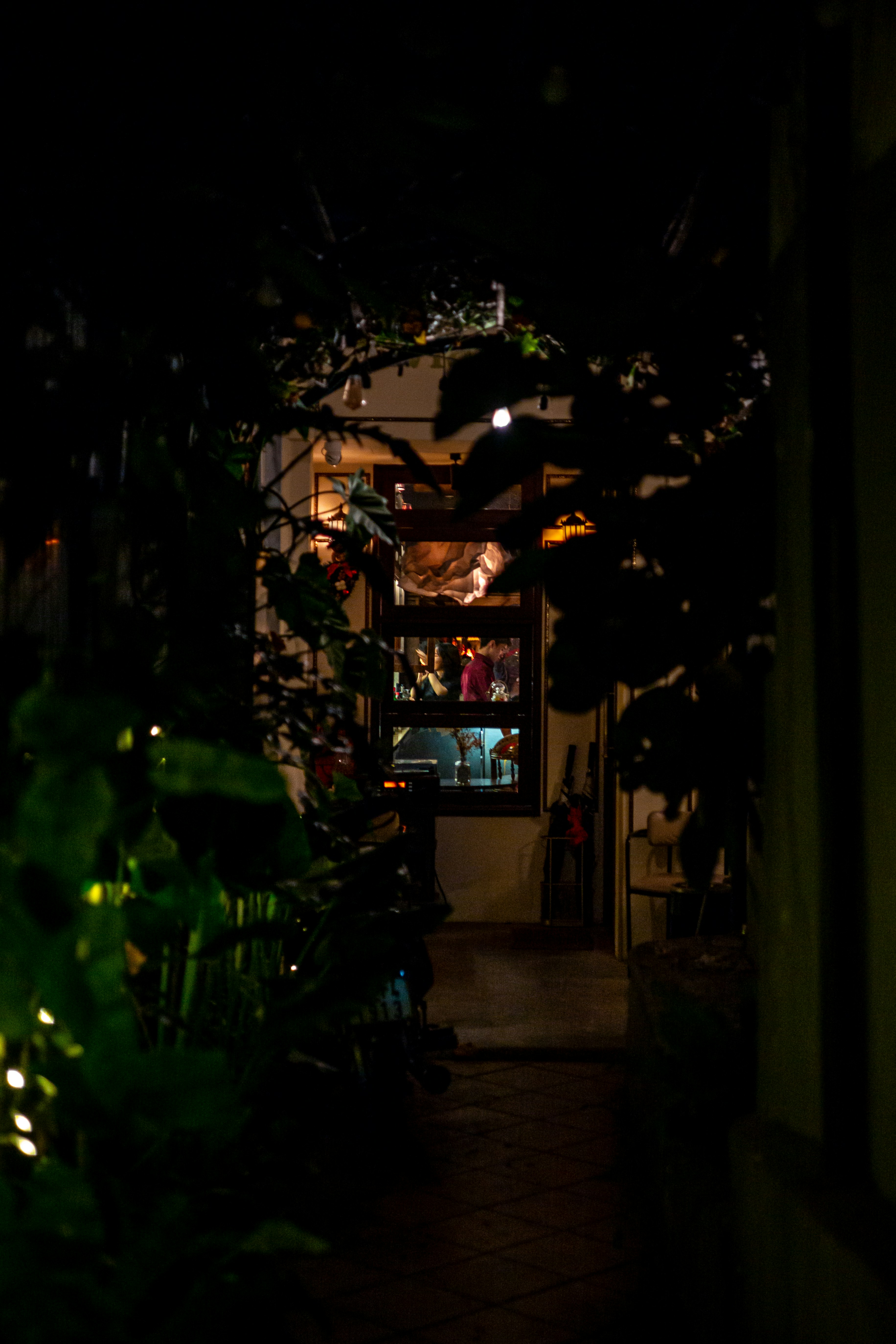 Photo by donguyenkhanhs