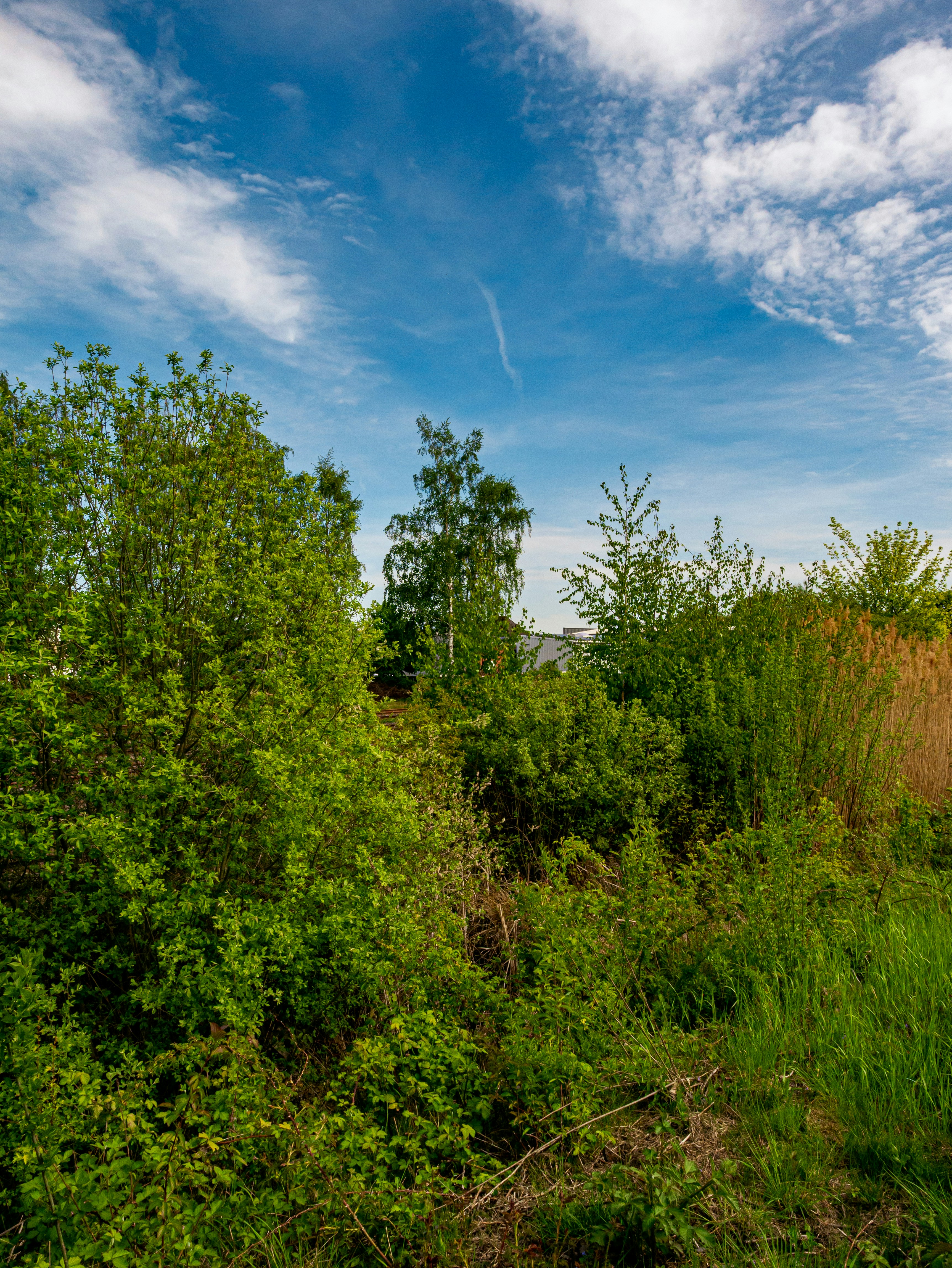 Photo by skstrannik