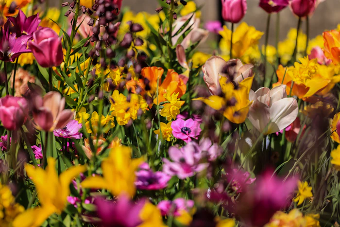 Diseño de parterre con flores de temporada en un jardín cuidado