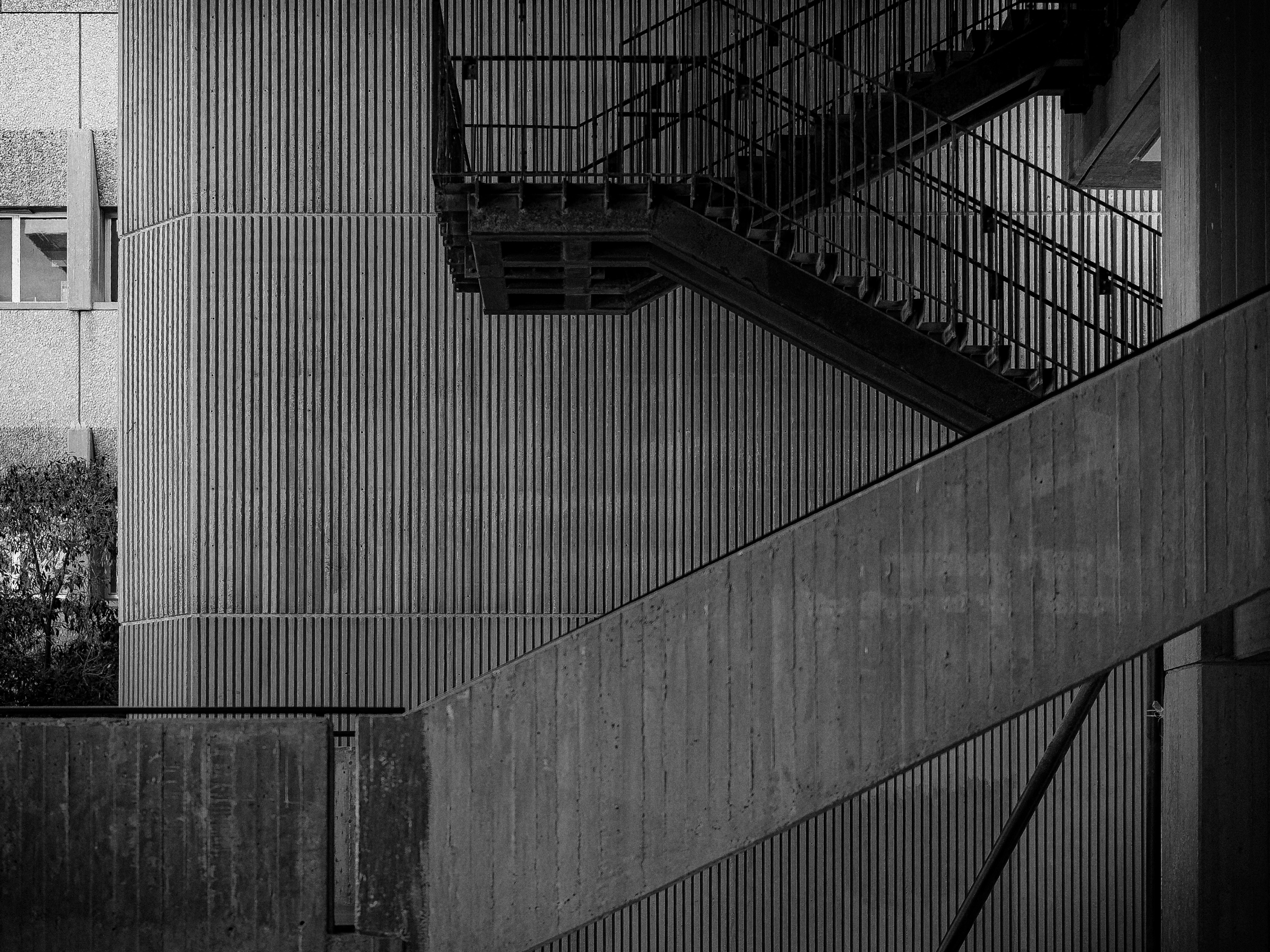 Photo by edoliverphoto