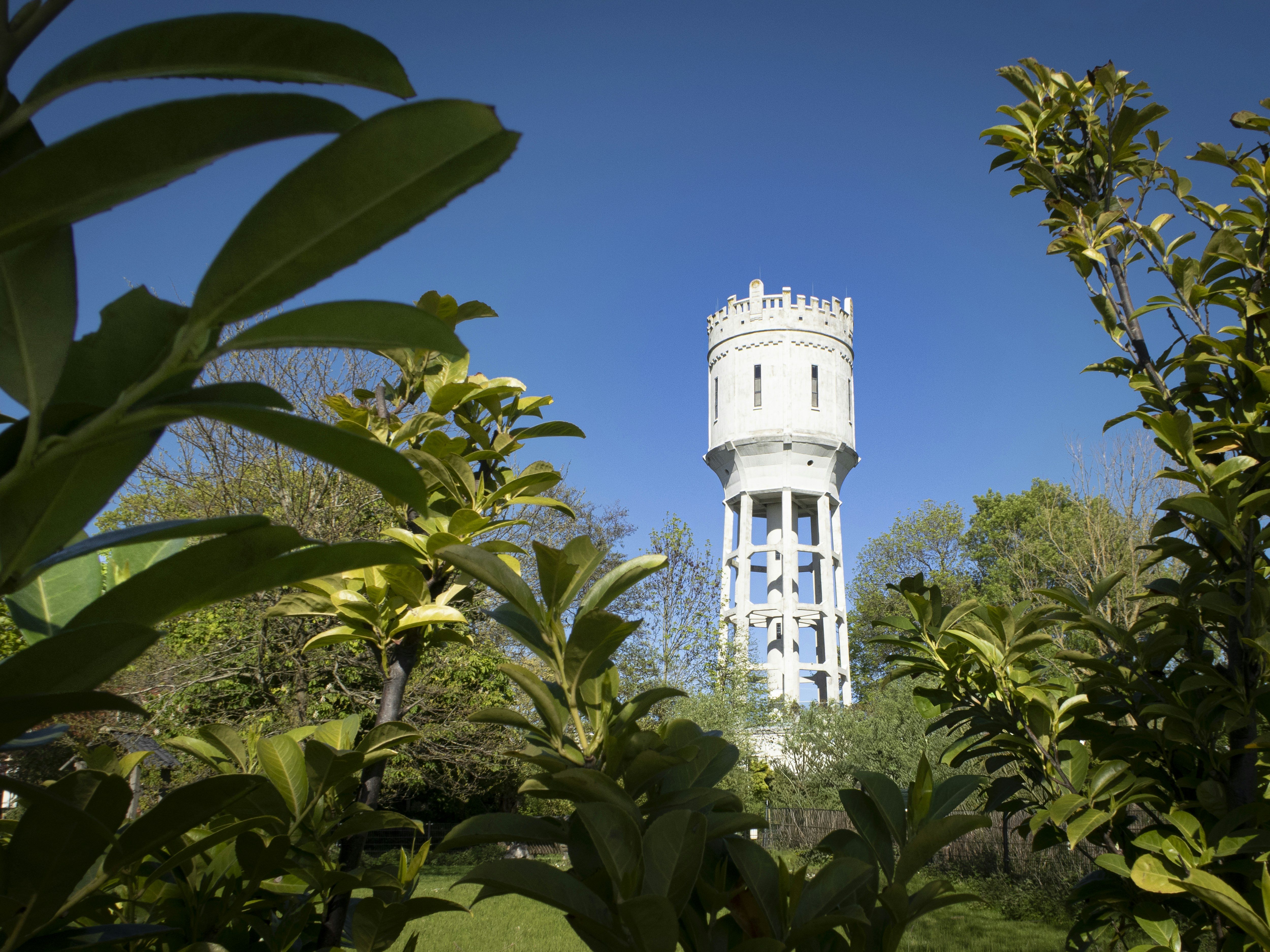 White water tower framed by green foliage against blue sky