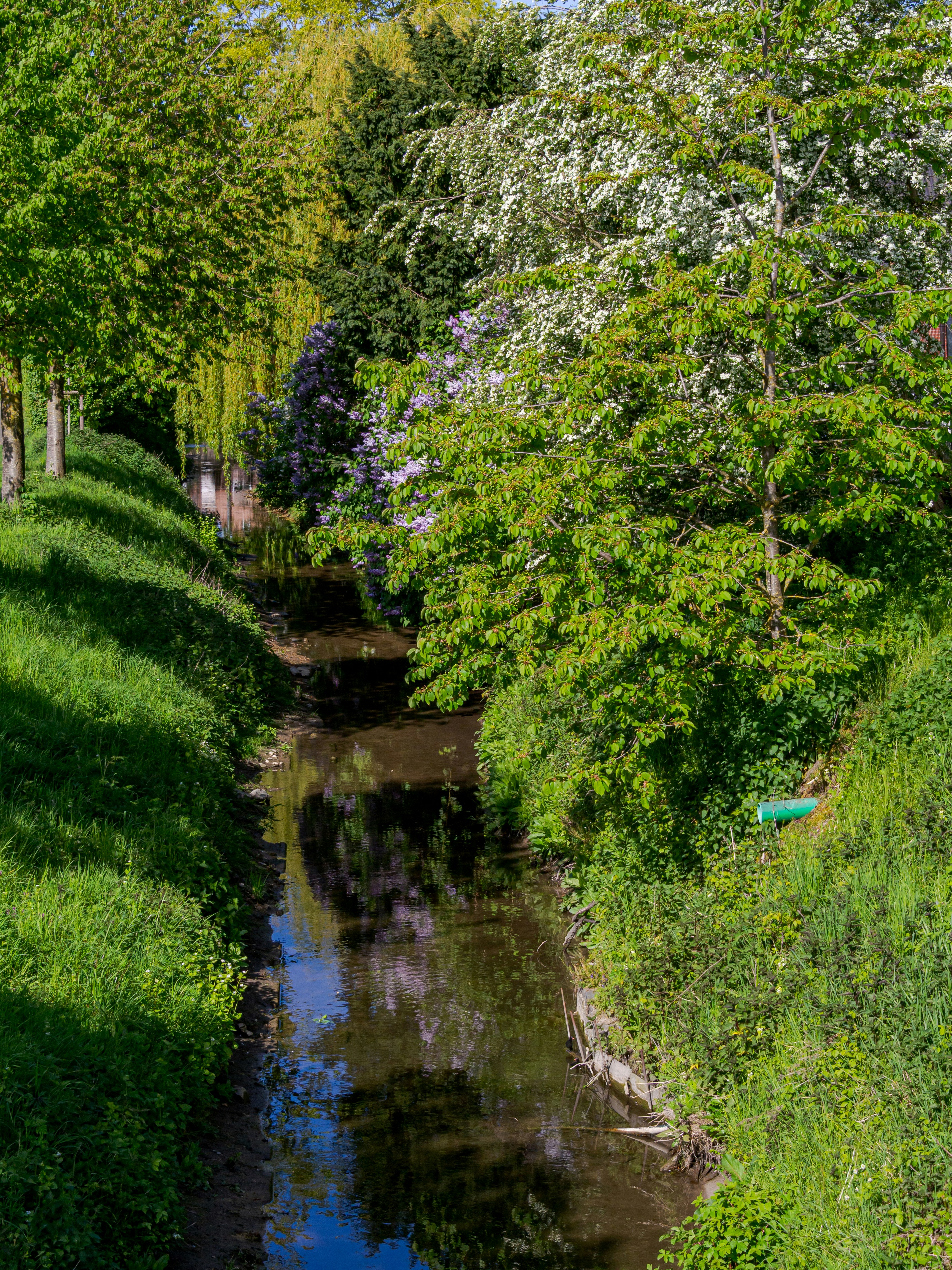 Photo by skstrannik