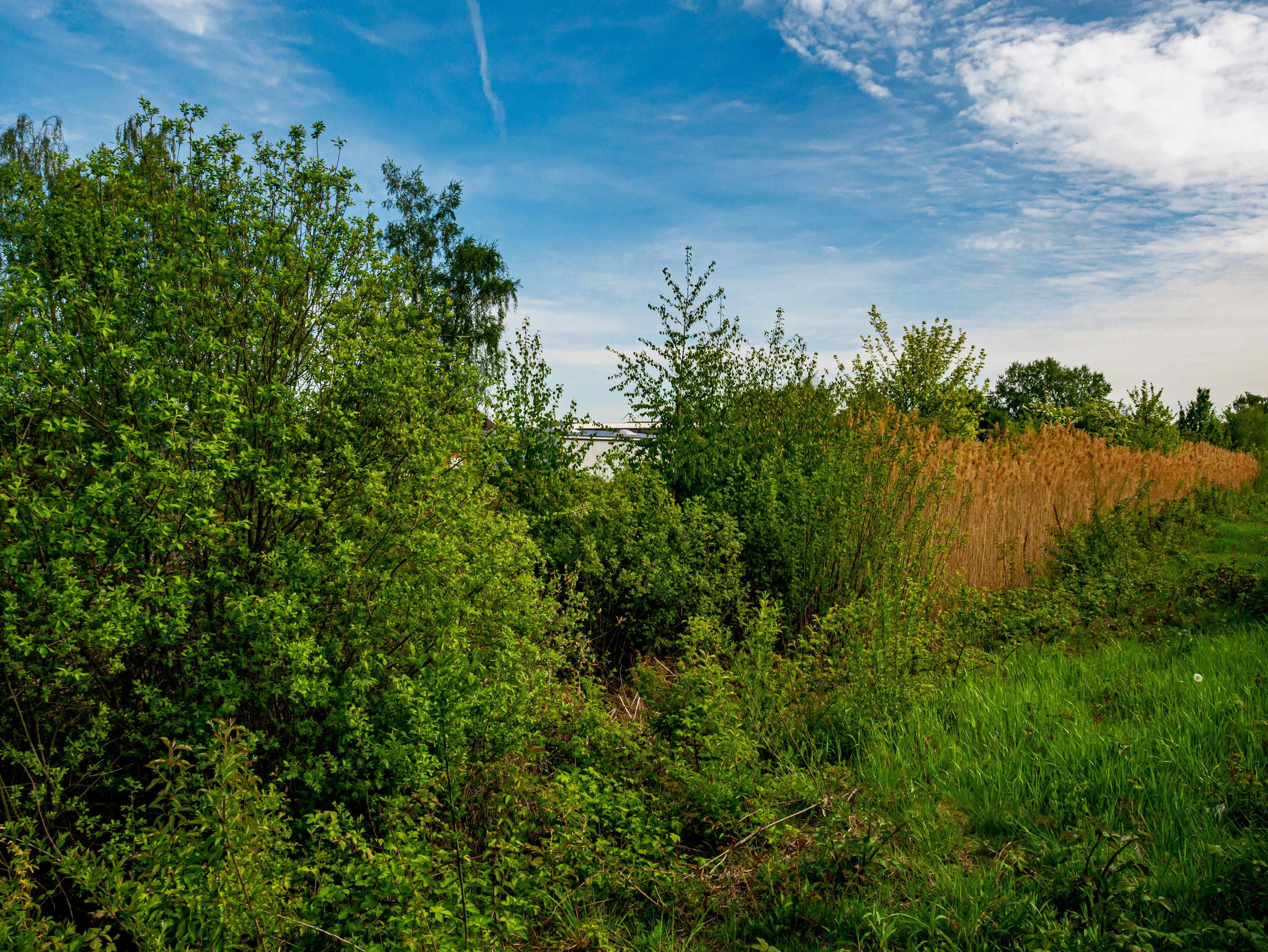Photo by skstrannik