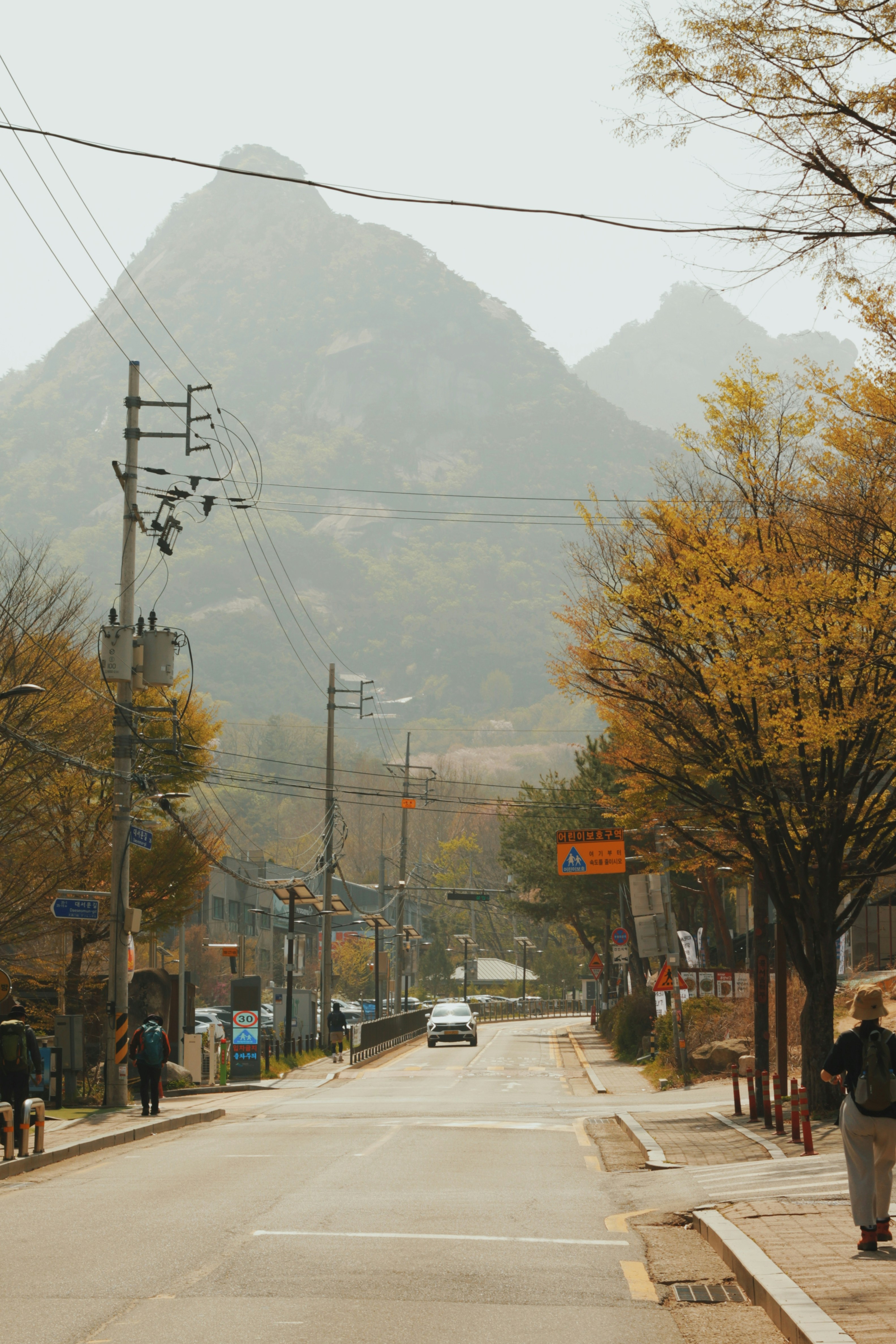 Uma estrada que leva a montanhas enevoadas com árvores de outono.