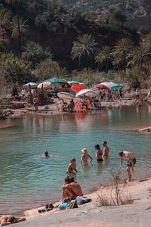 People swimming in a natural pool surrounded by palm trees.