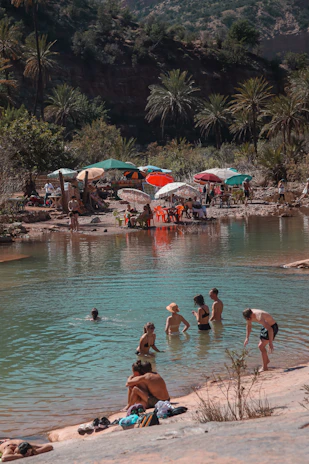 People swimming in a natural pool surrounded by palm trees.