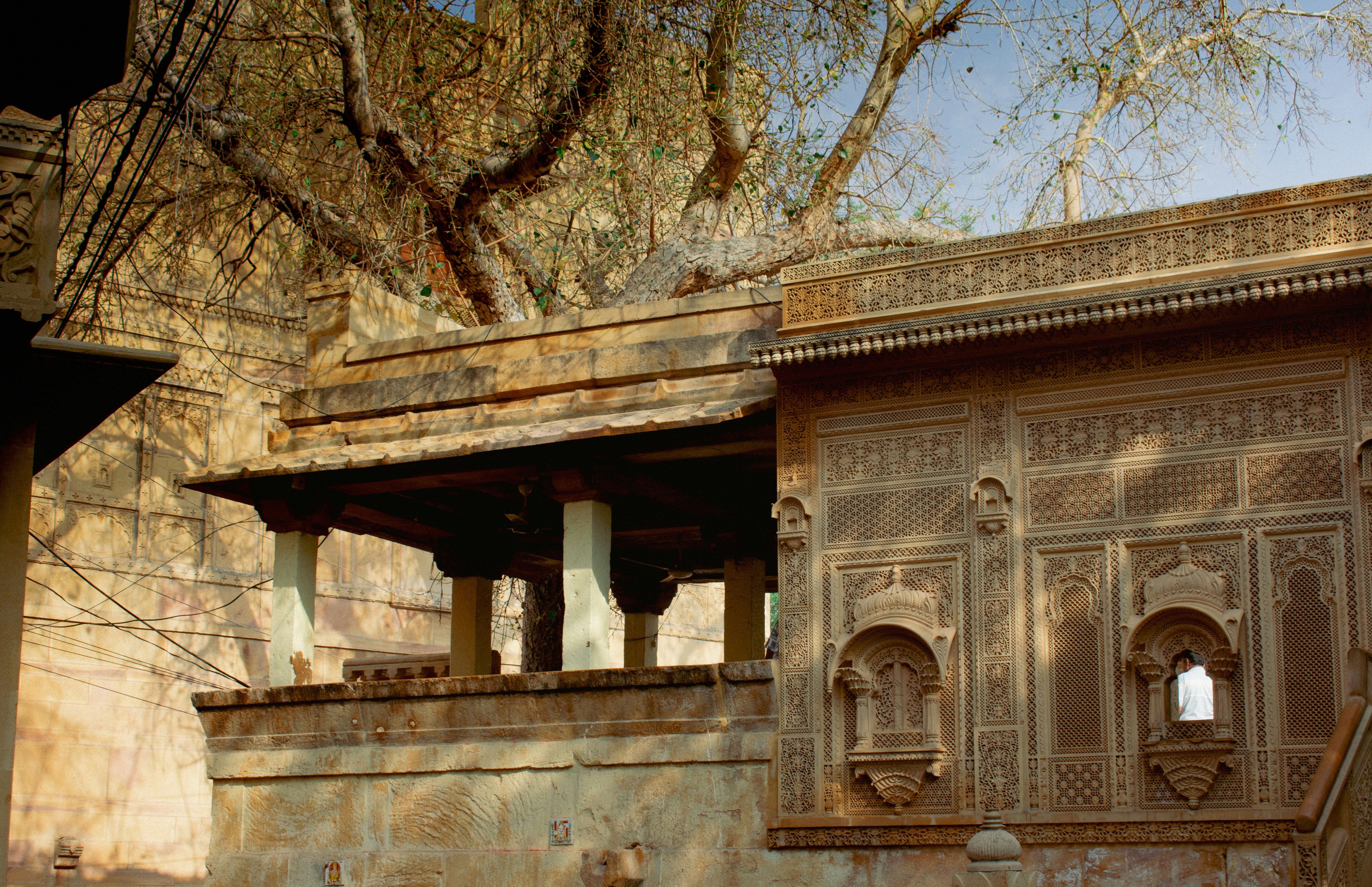 Rajasthan