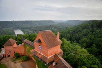 Medieval brick castle overlooking a lush green forest and river