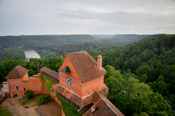 Medieval brick castle overlooking a lush green forest and river