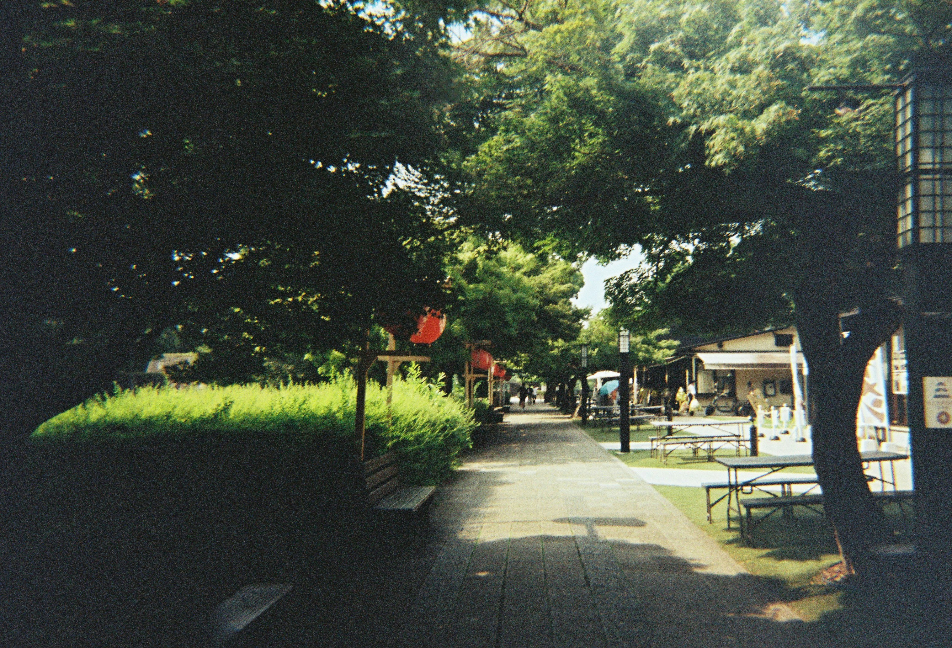 Photo by nnulll___