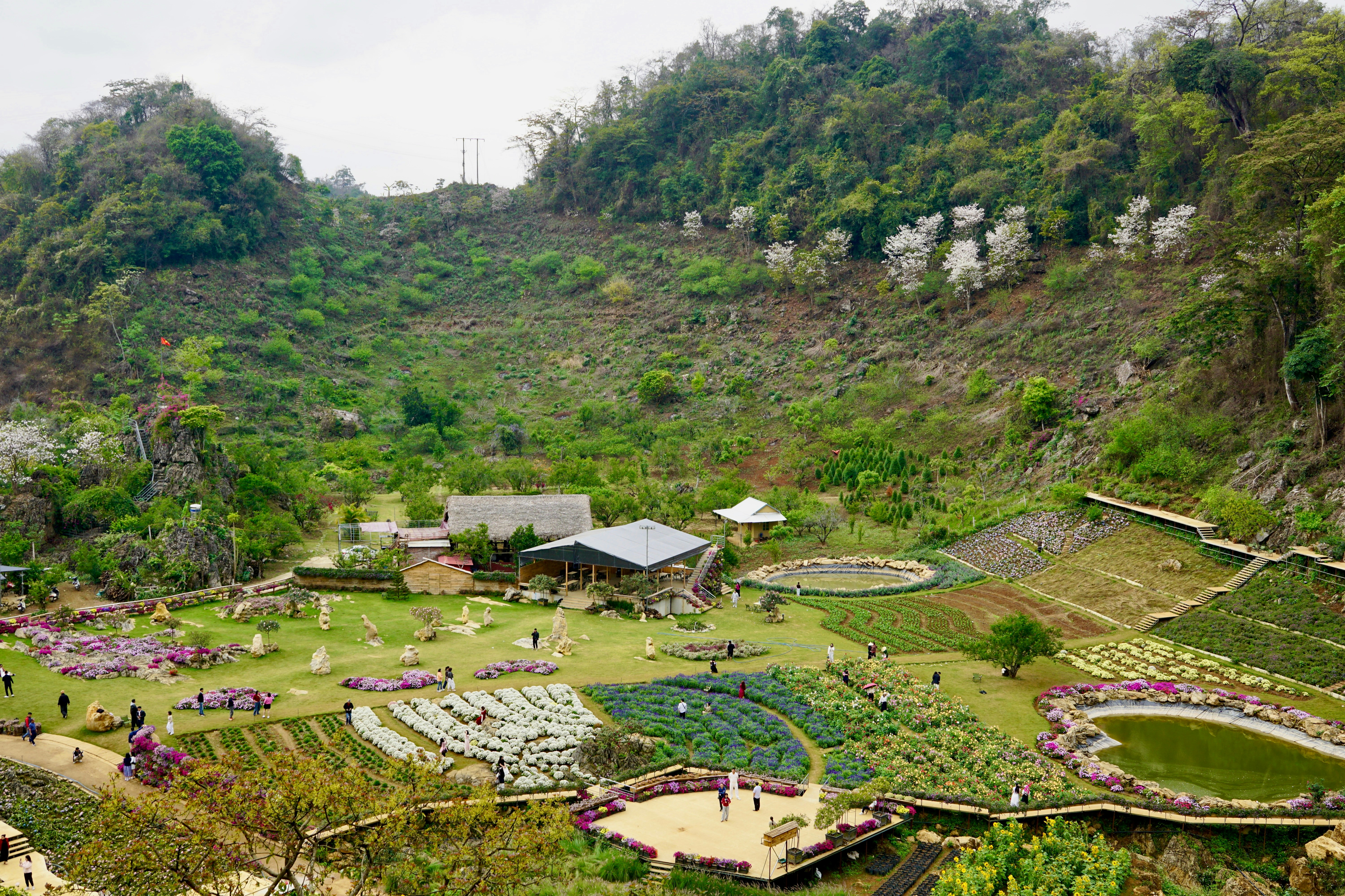 Terraced gardens with flowers and vegetables on a hillside.